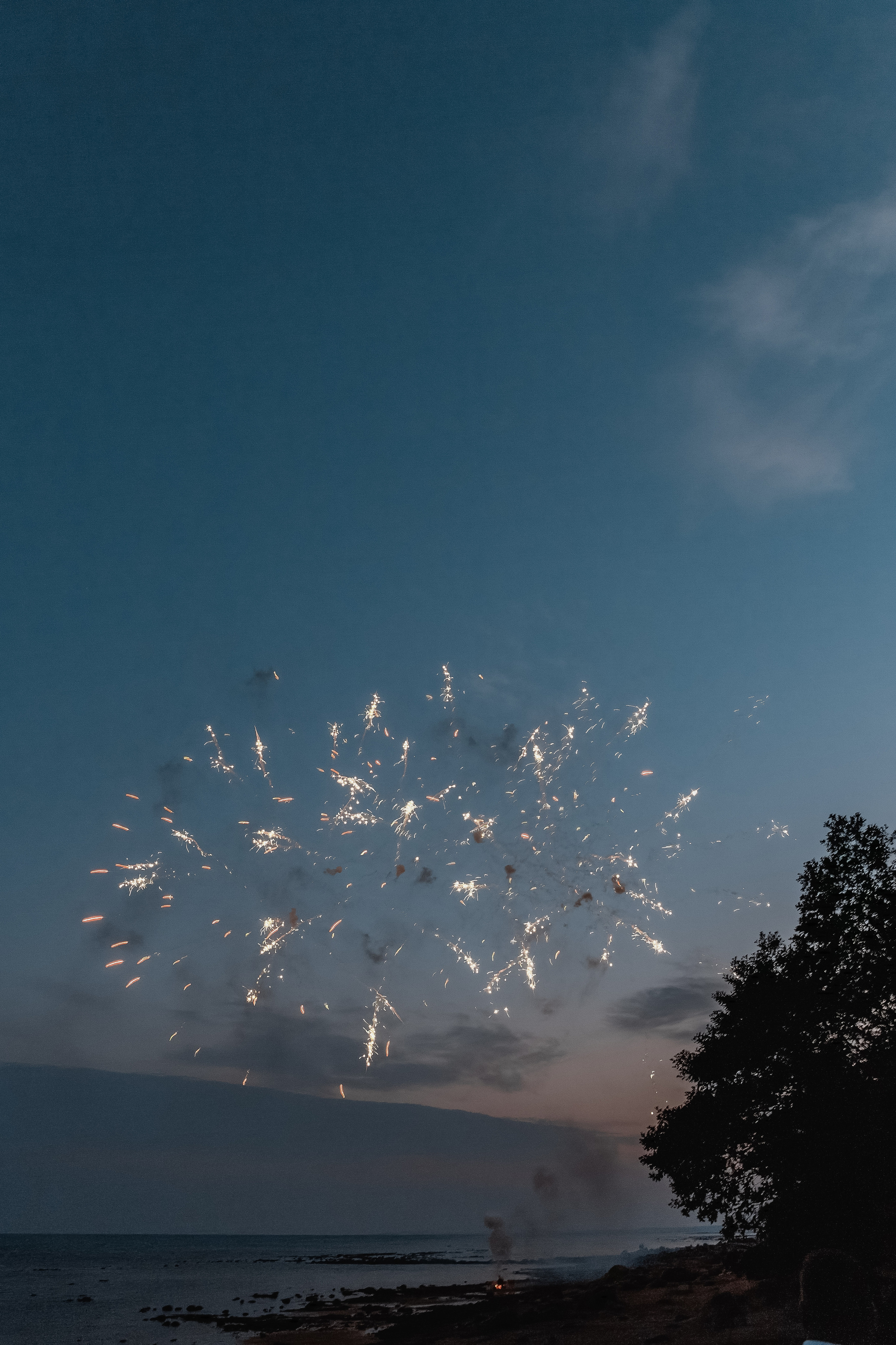 Анастасия и Максим