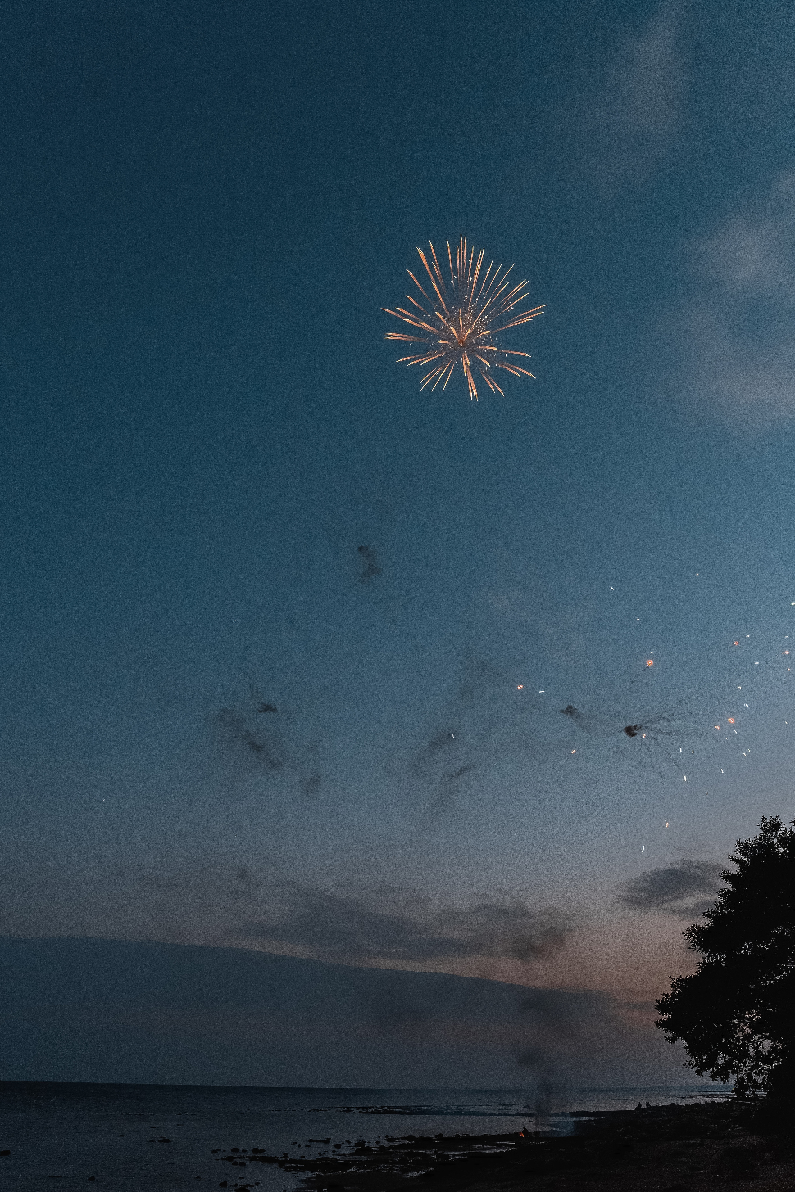 Анастасия и Максим