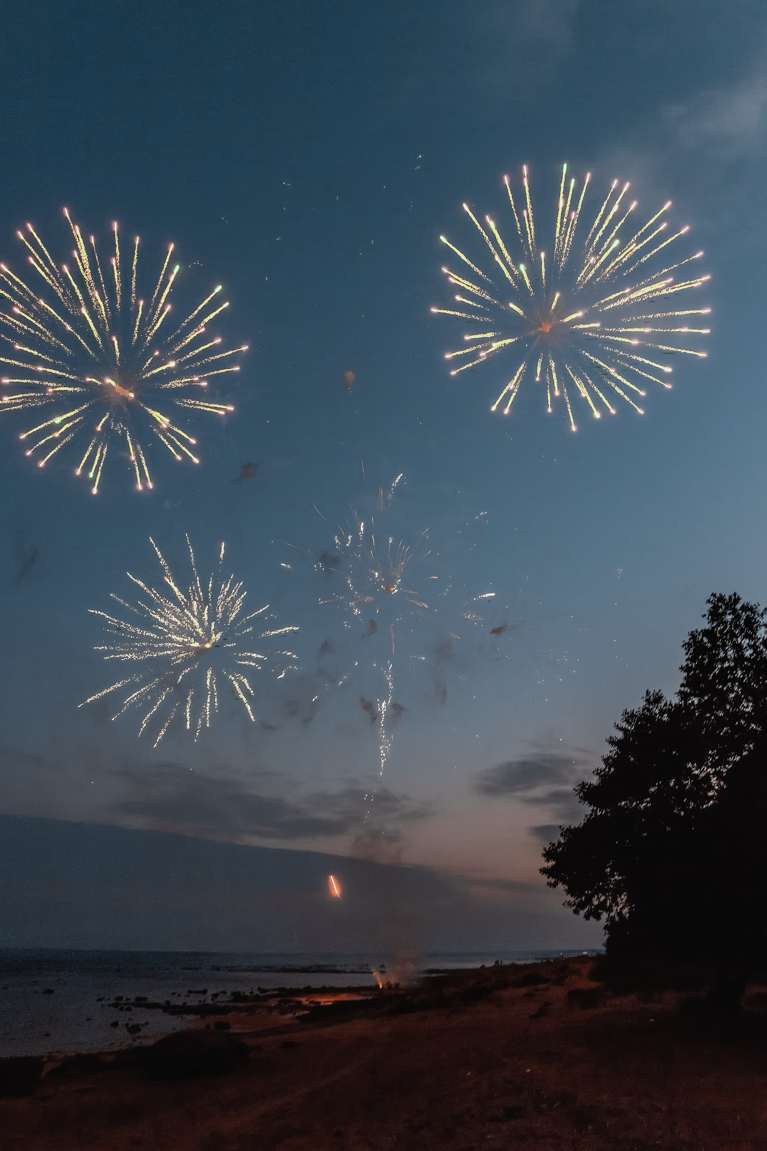 Анастасия и Максим