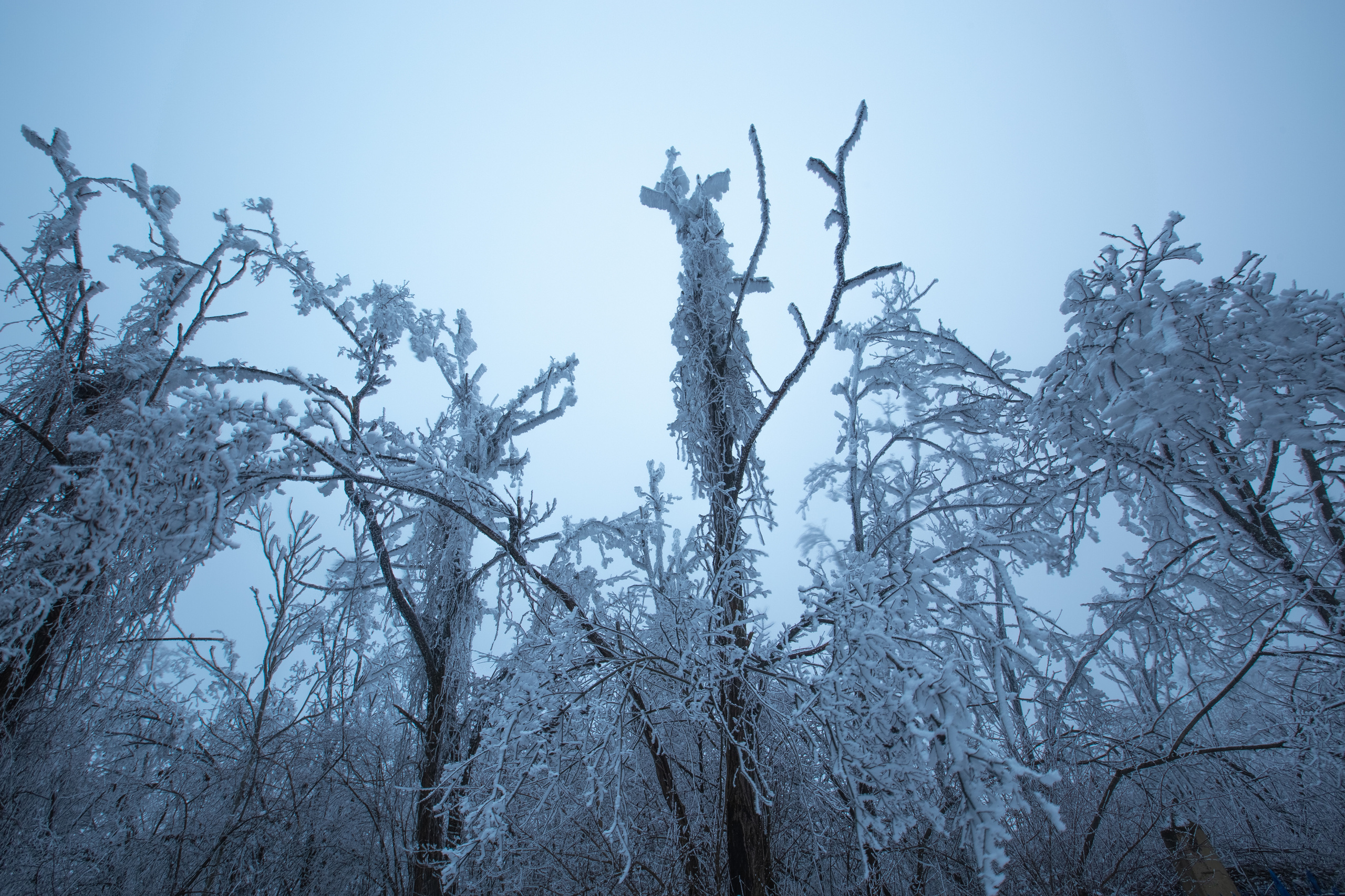 Пейзажный фотограф СПб, Санкт-Петербург и Москва