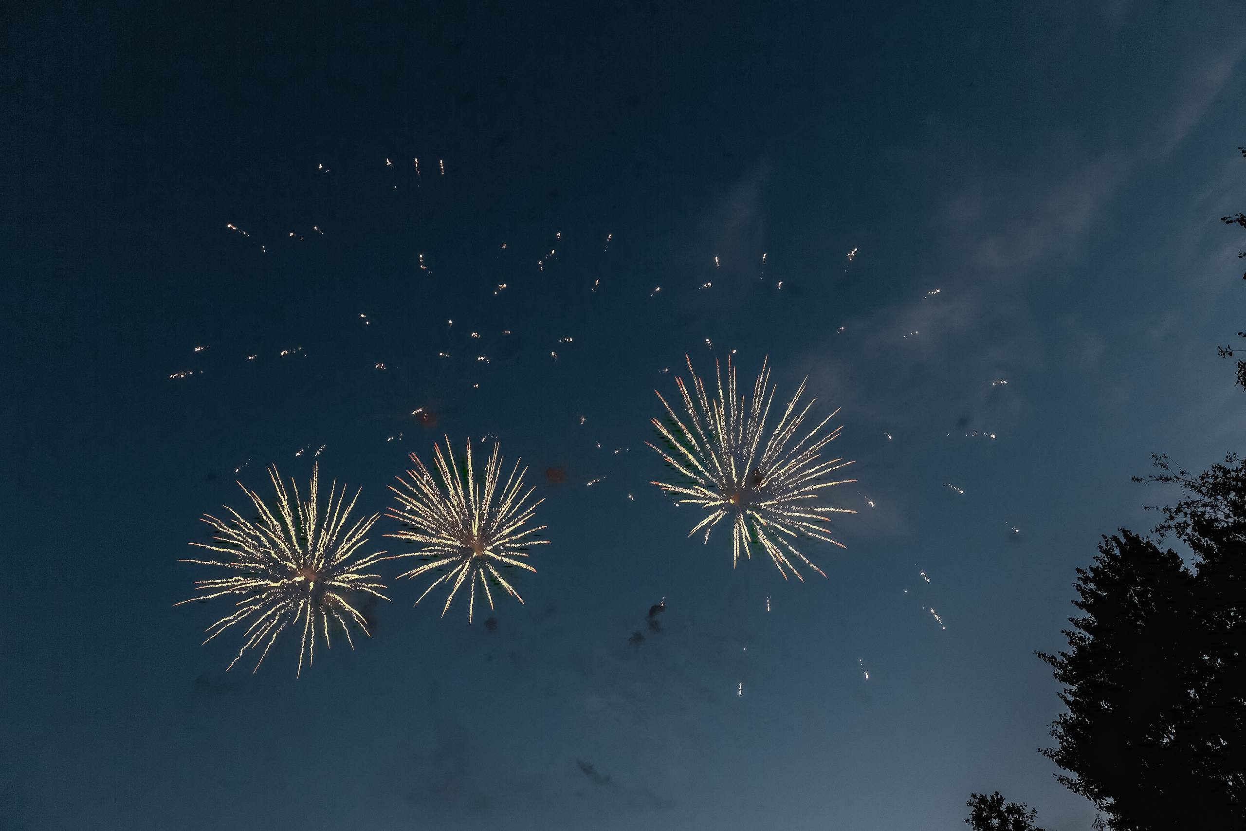 Анастасия и Максим