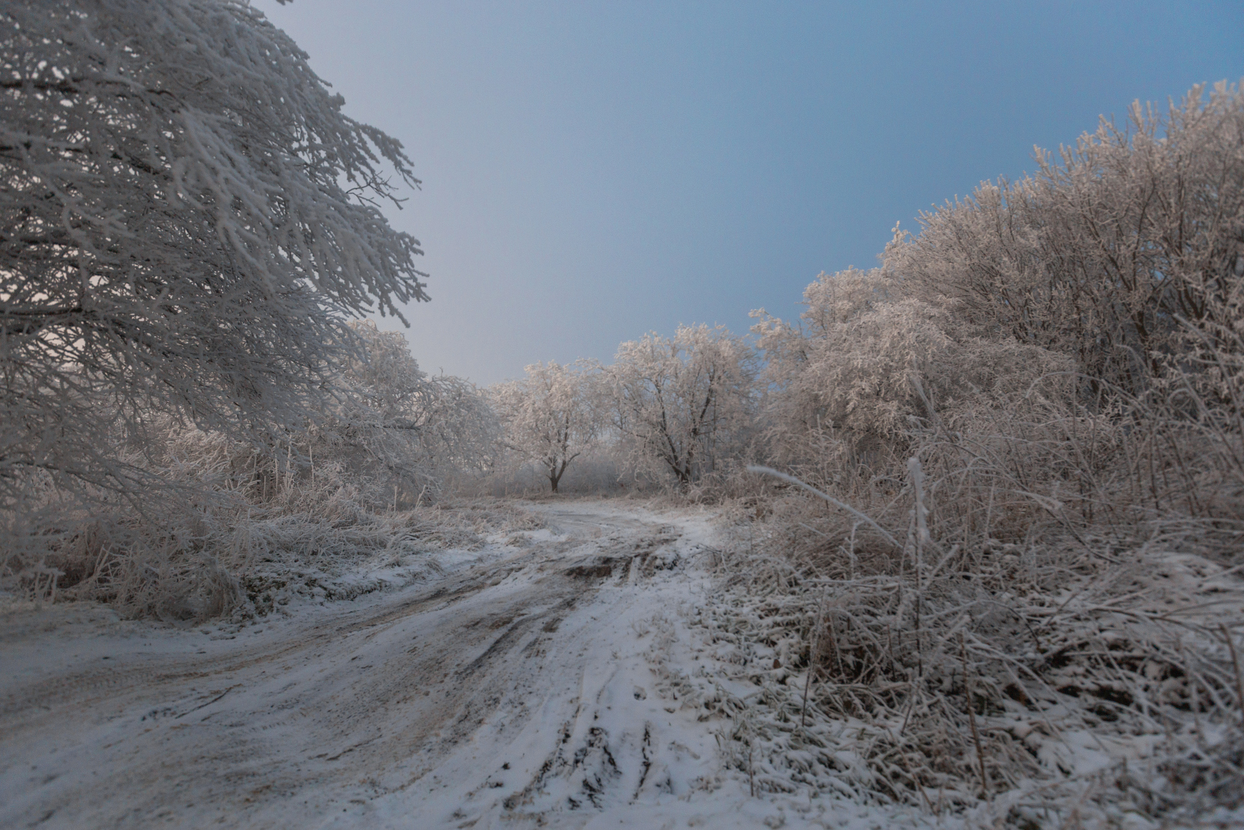 Пейзажный фотограф СПб, Санкт-Петербург и Москва