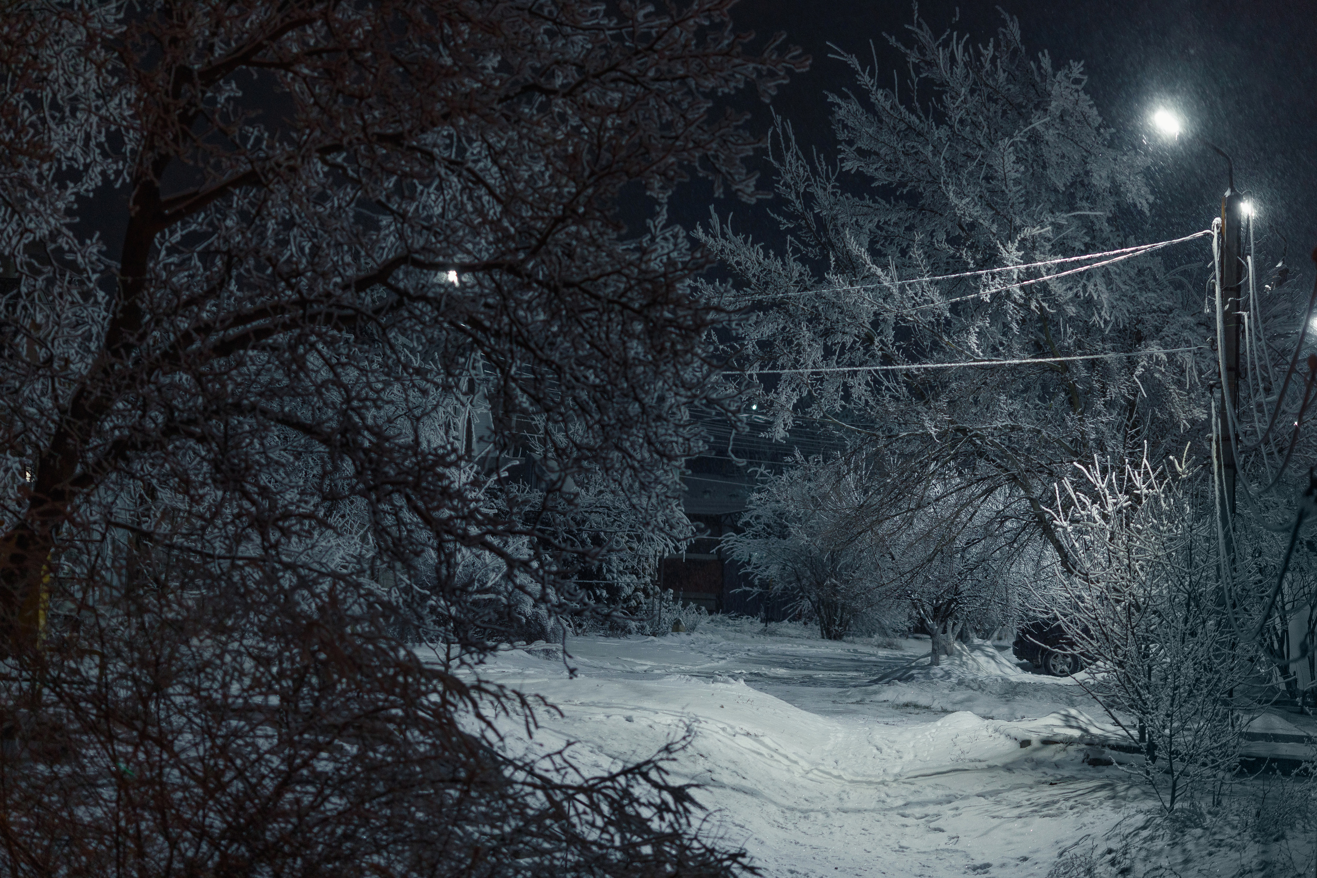 Пейзажный фотограф СПб, Санкт-Петербург и Москва