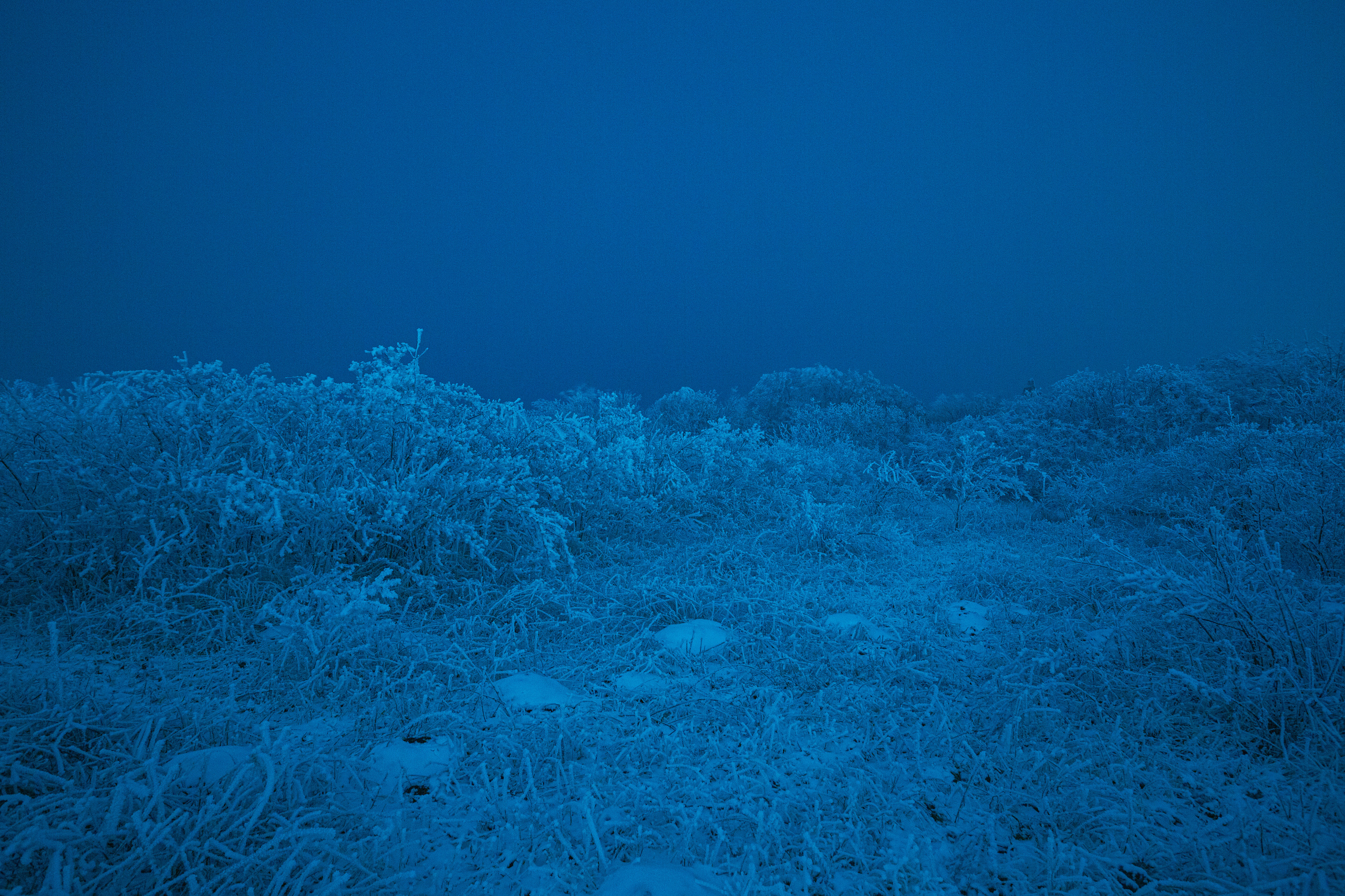 Пейзажный фотограф СПб, Санкт-Петербург и Москва