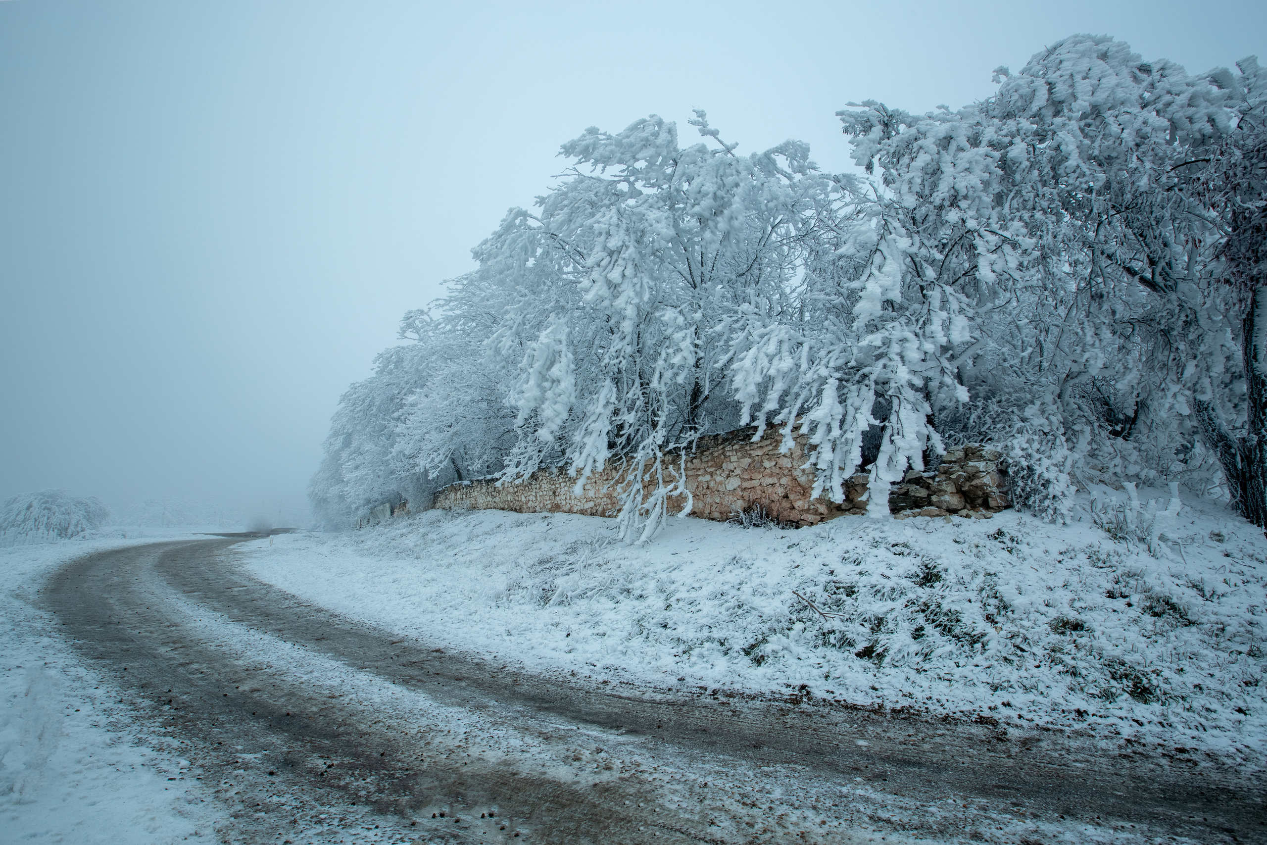 Пейзажный фотограф СПб, Санкт-Петербург и Москва