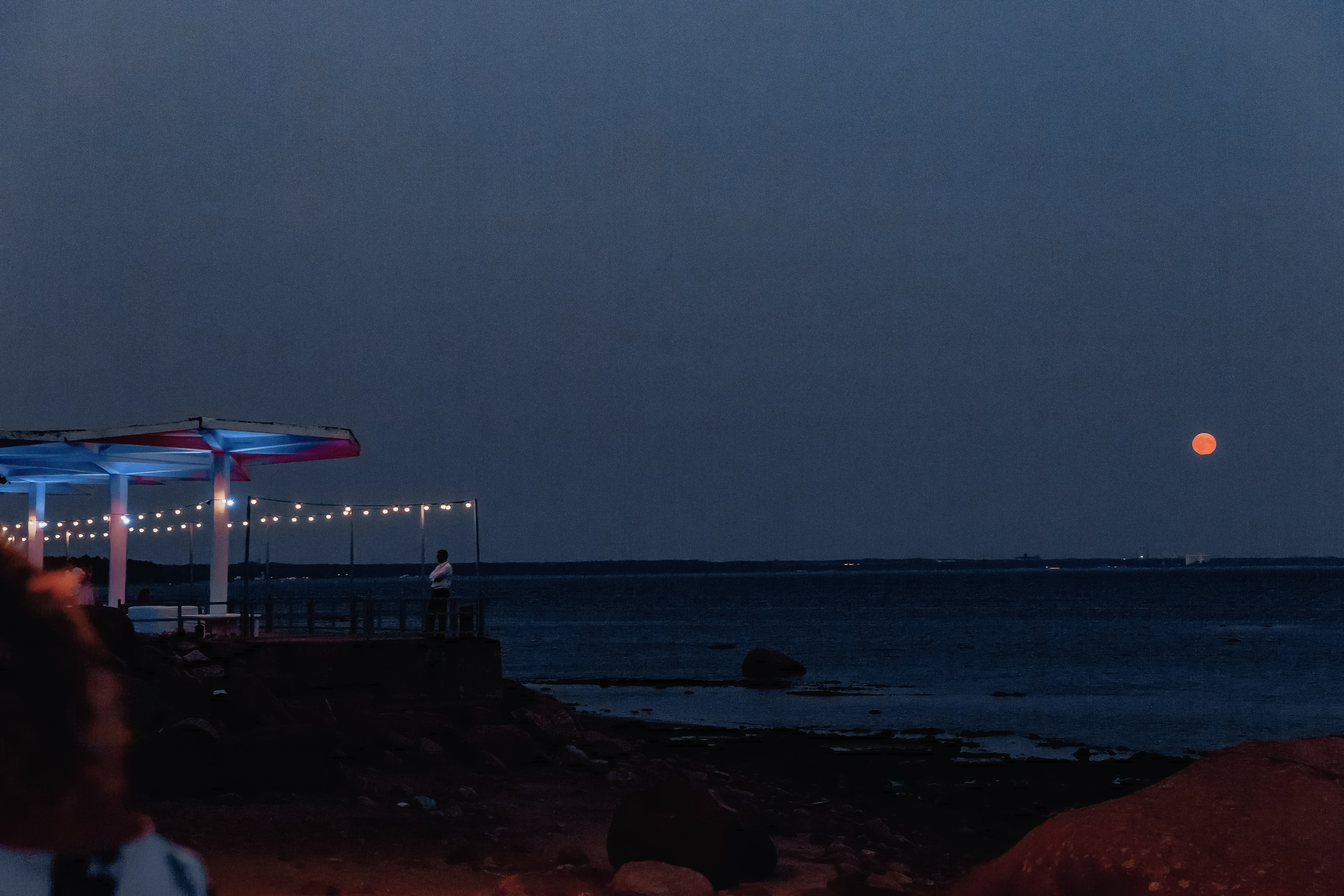 Анастасия и Максим