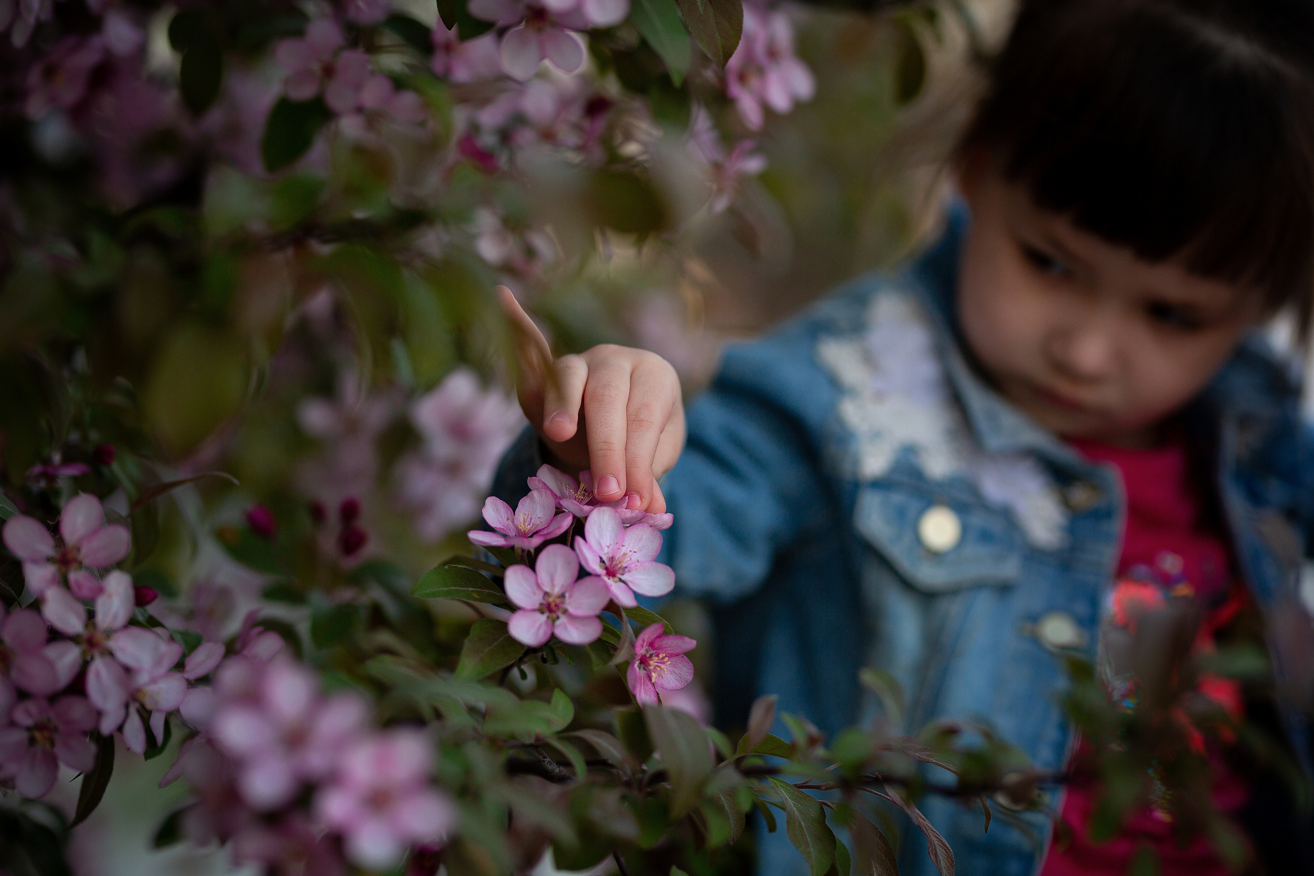 Городское. Весенняя фотопрогулка. Отбасылық фотограф Алена Шаталова