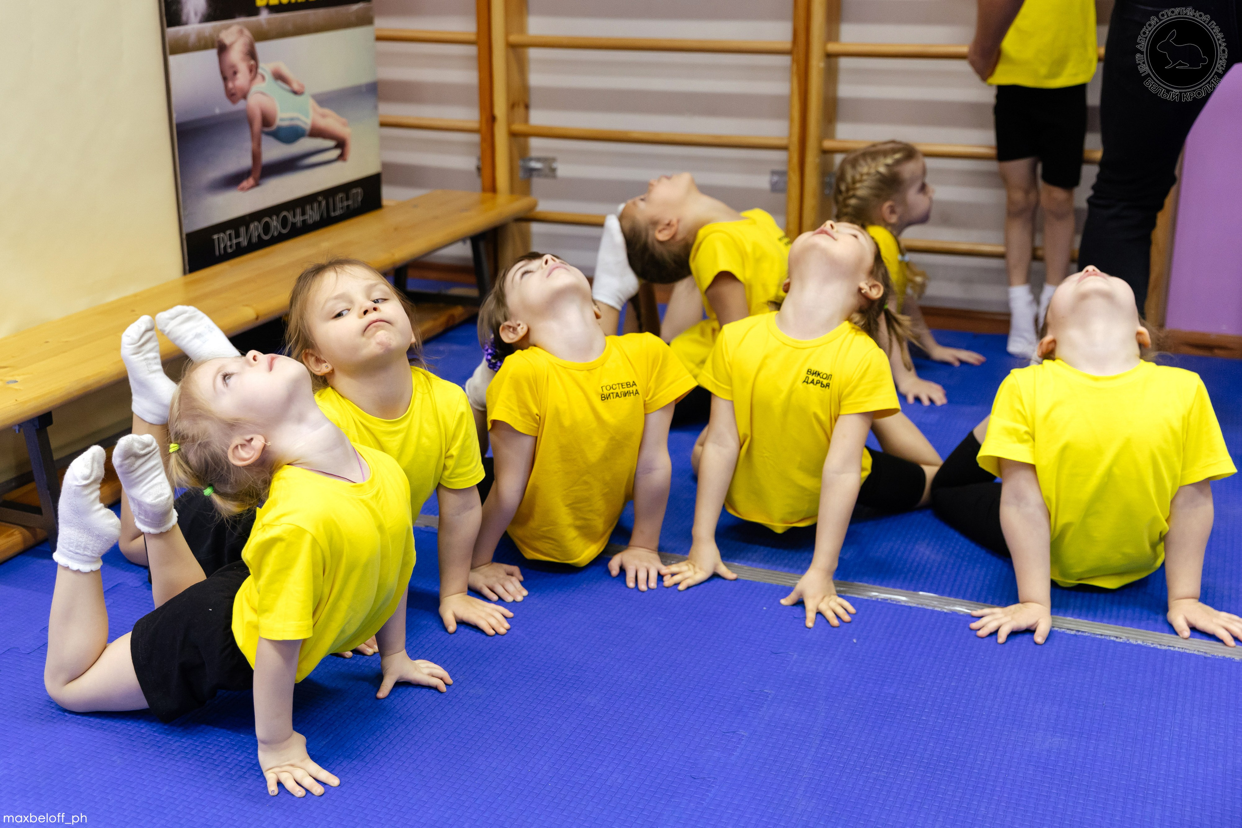 Белый кролик. Соревнования. Семейный фотограф — Макс Белогрудов