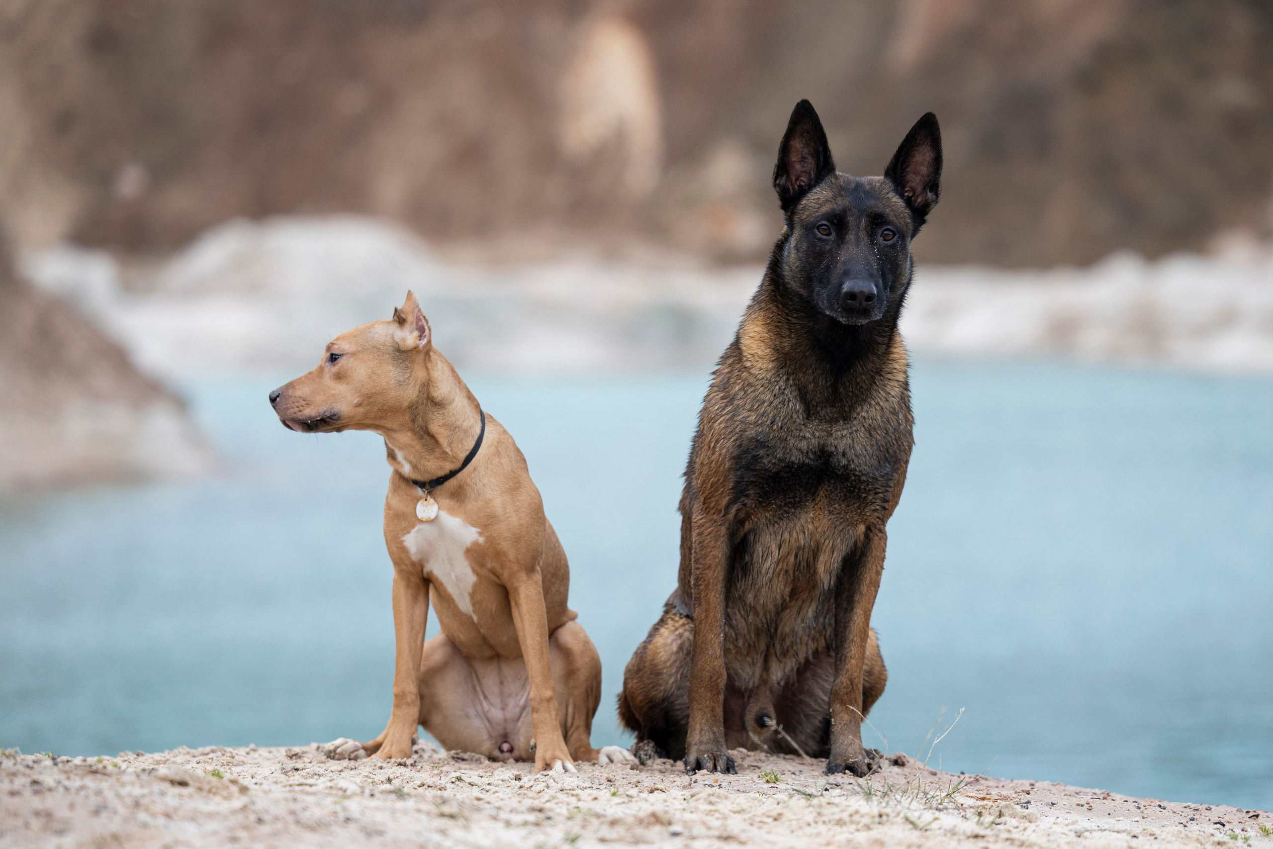 Лужские Мальдивы. Фотограф-анималист Анна Маринич