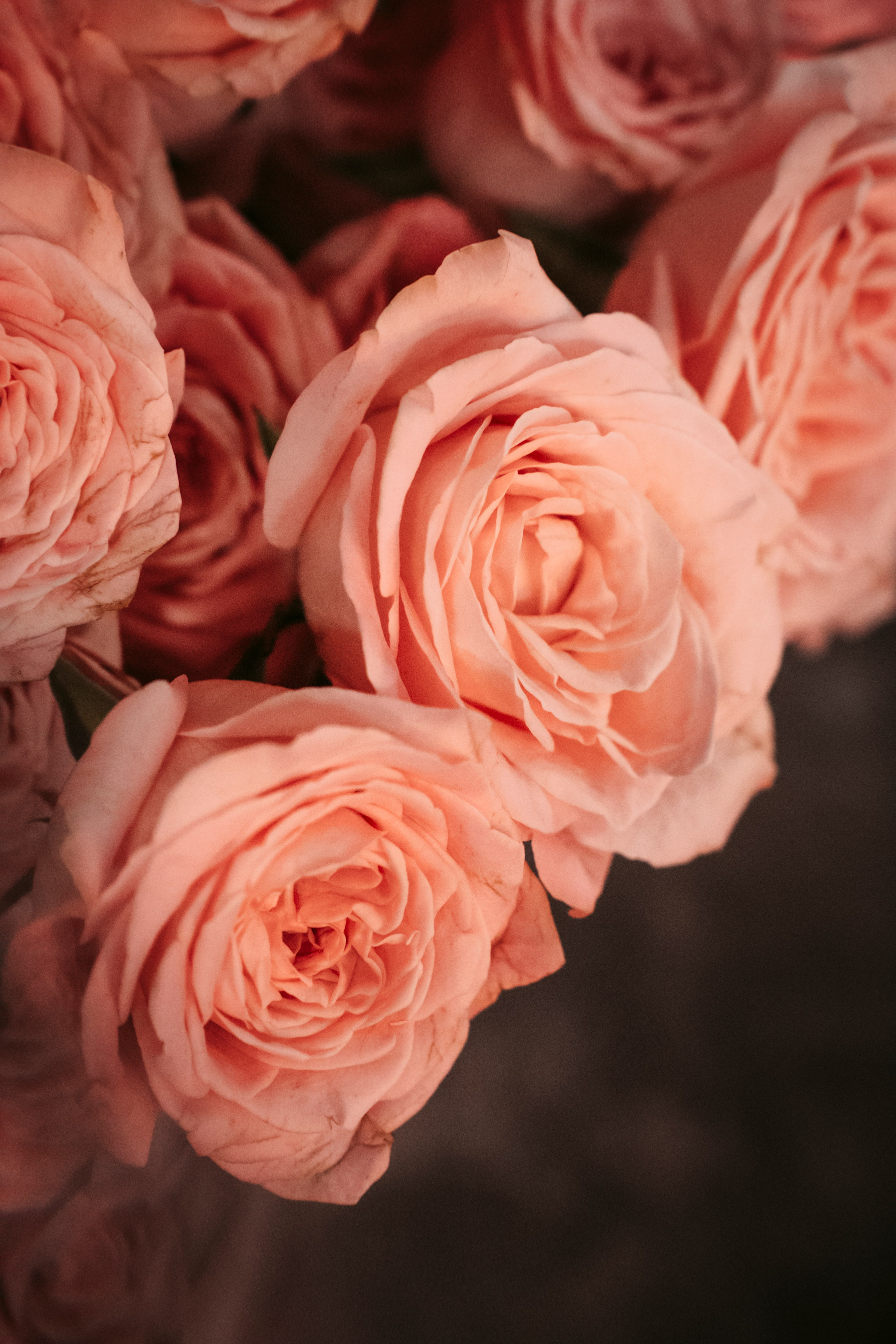 Цветочный андеграунд. Главная