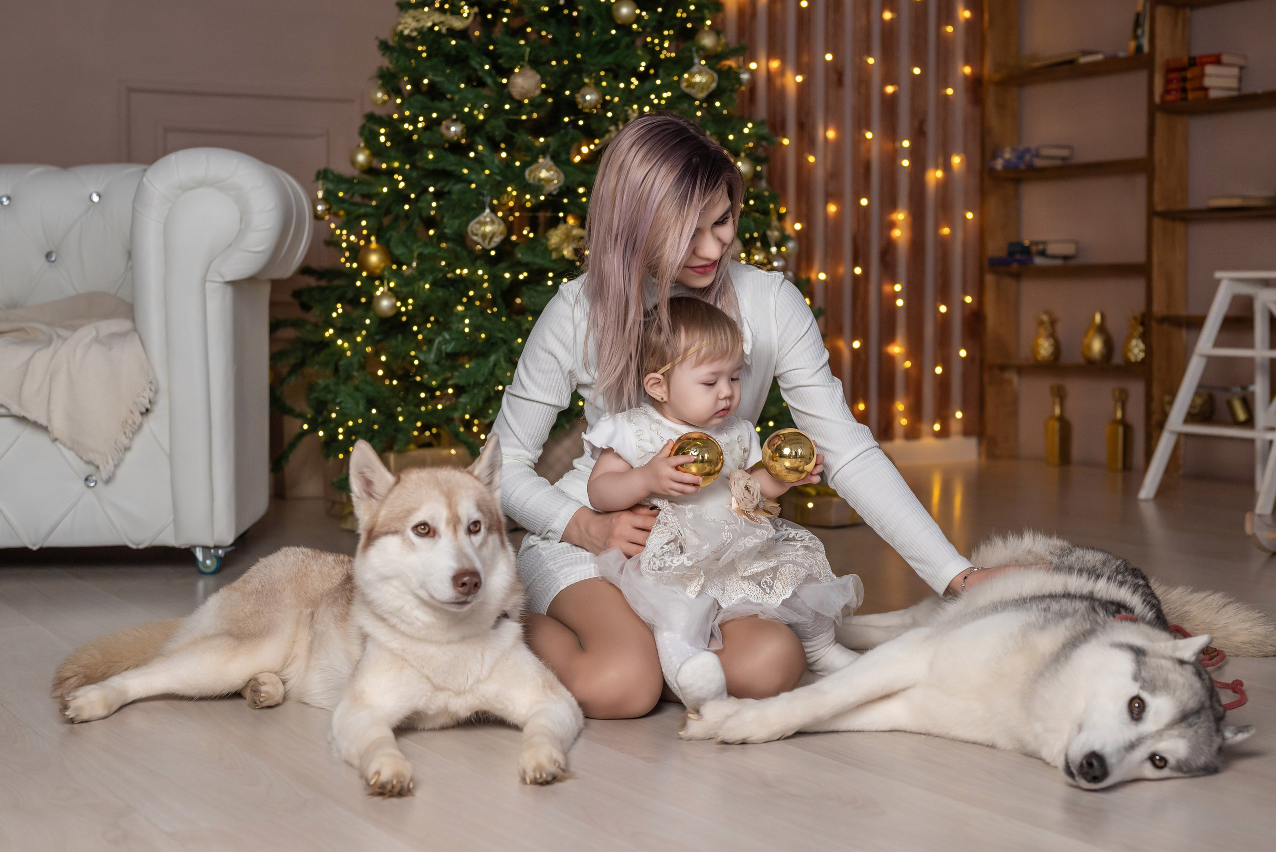 Фотопроект с хаски. Фотограф в городе Салават