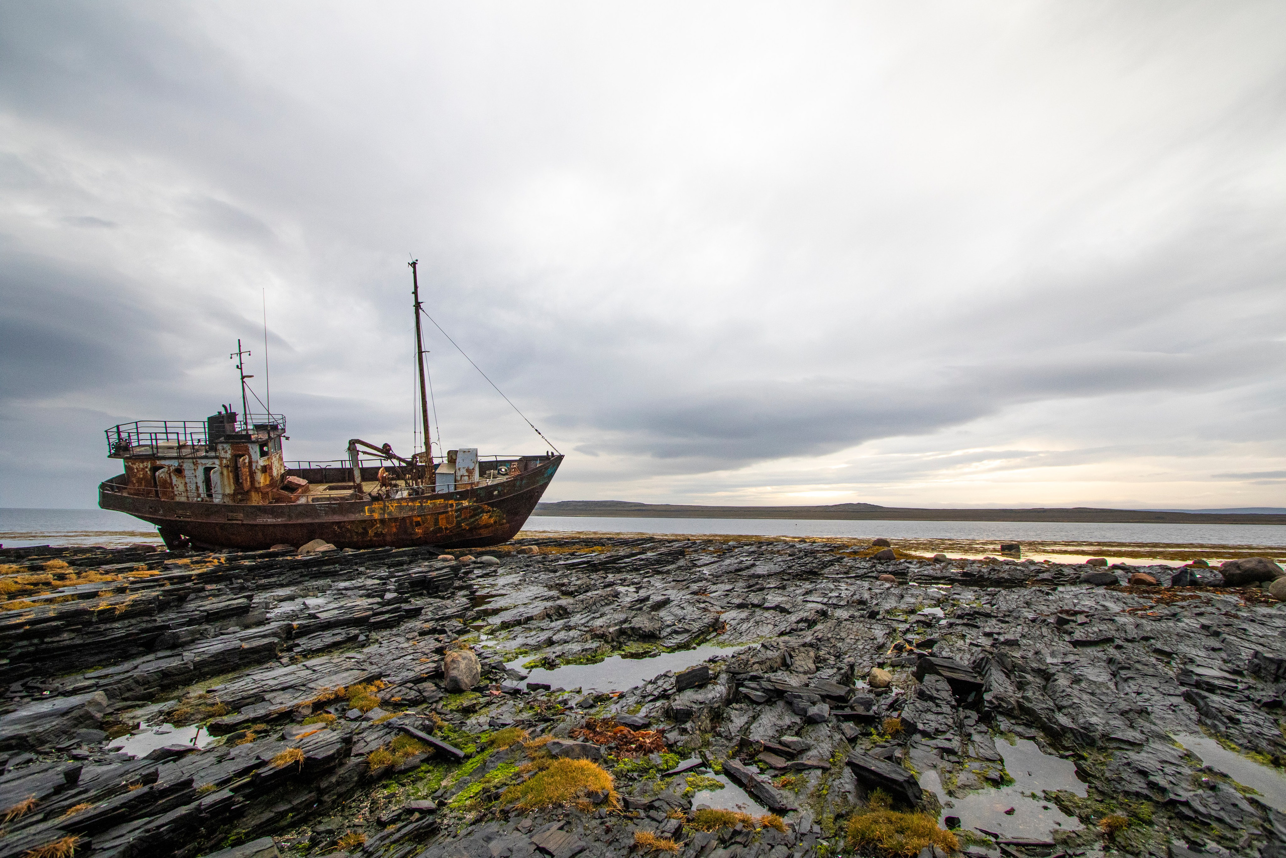 Документалистика. Репортажный фотограф в Москве Екатерина Якель