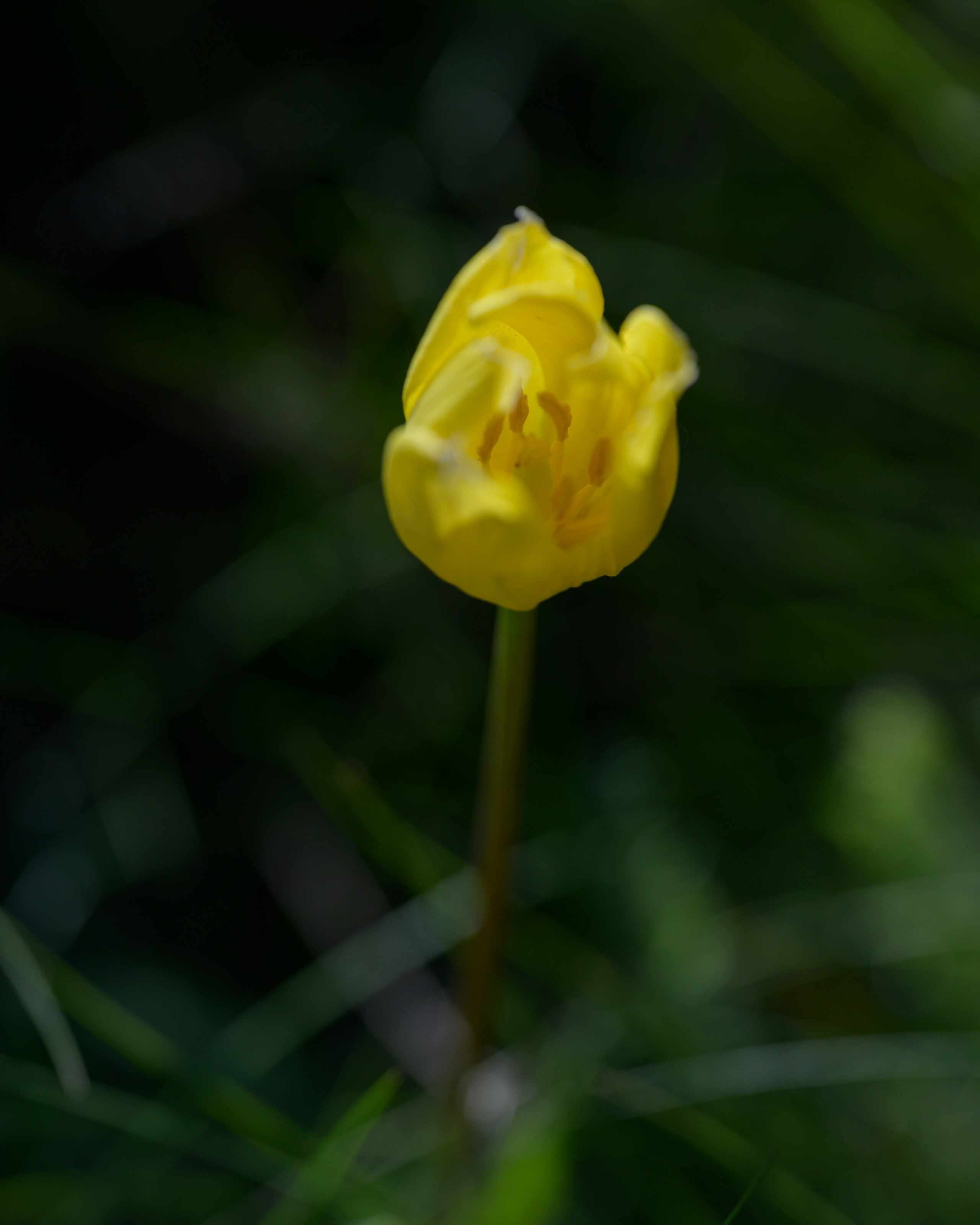 Оренбуржье. Портретный фотограф в Челябинске Катерина Руди