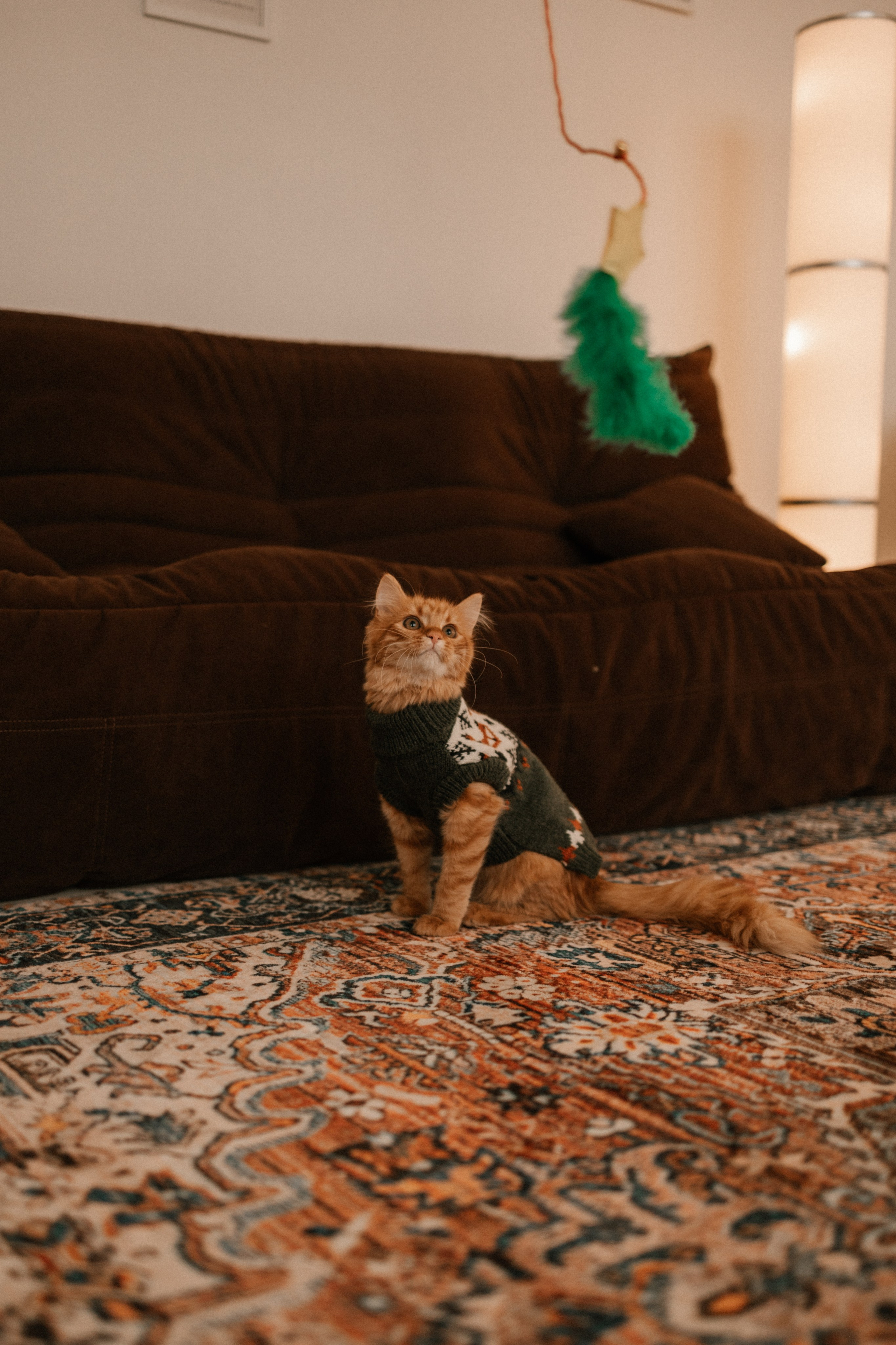 Камилла и ее девочки. Фотограф — Анималист | Санкт-Петербург