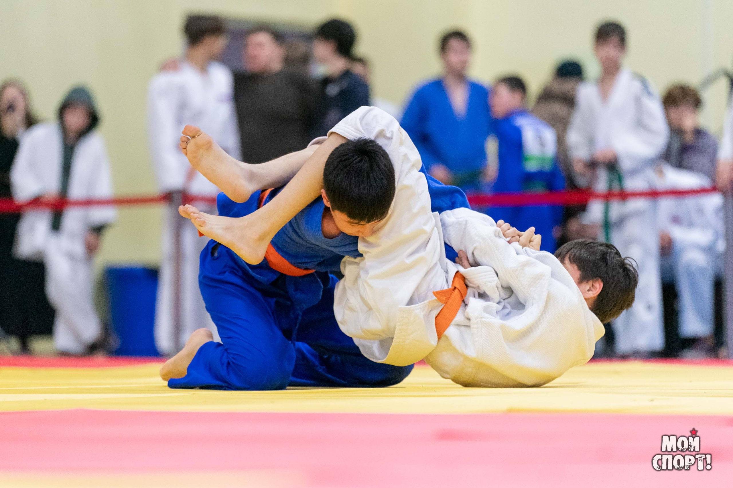 Межрегиональные соревнования по дзюдо «Лига патриотов — Якутск». Студия «Мой Спорт!» — все о спорте в Якутии
