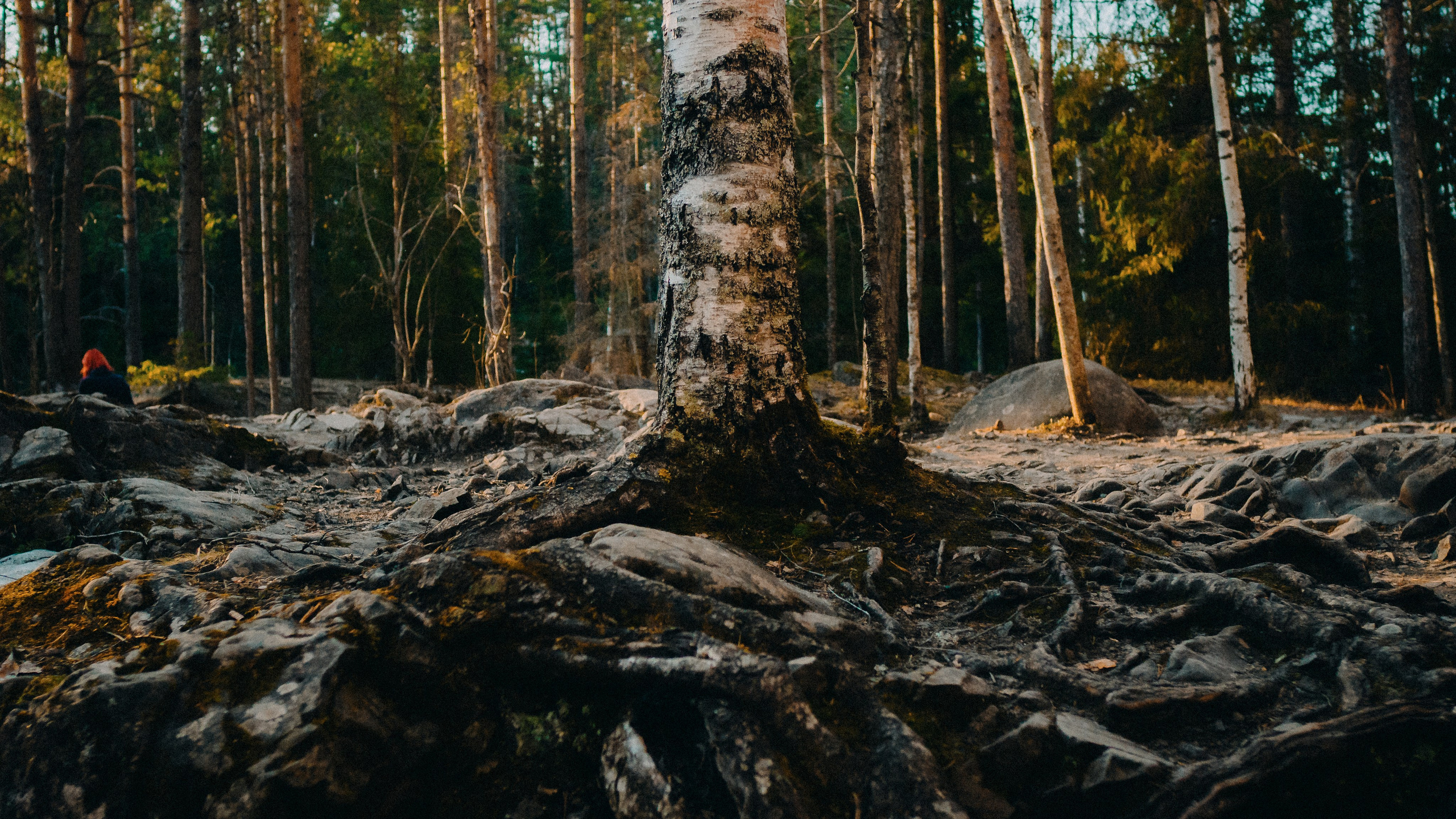 Карелия '23. Фёдор Малюгин. Ваш бади в визуале