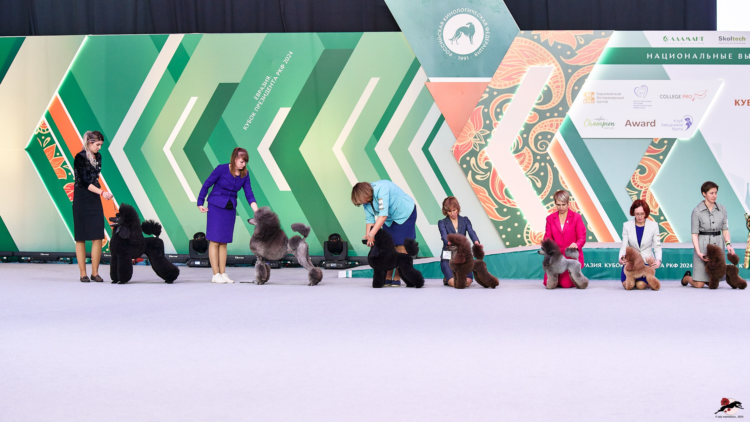 16.11.2024 «ЕВРАЗИЯ. КУБОК ПРЕЗИДЕНТА РКФ 2024»