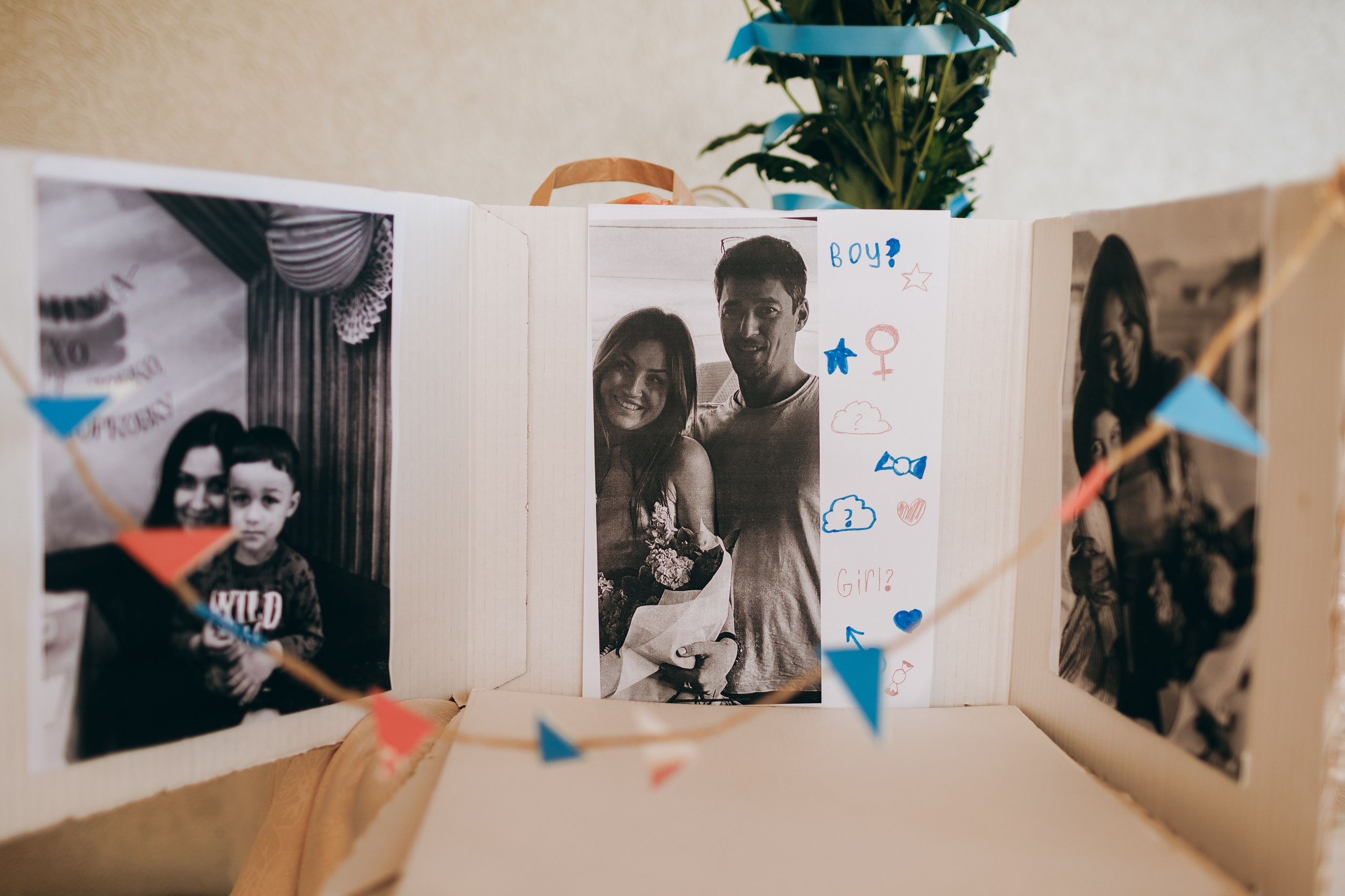 Гендер-пати. Портретный и свадебный фотограф в Белгороде Глухова Кристина