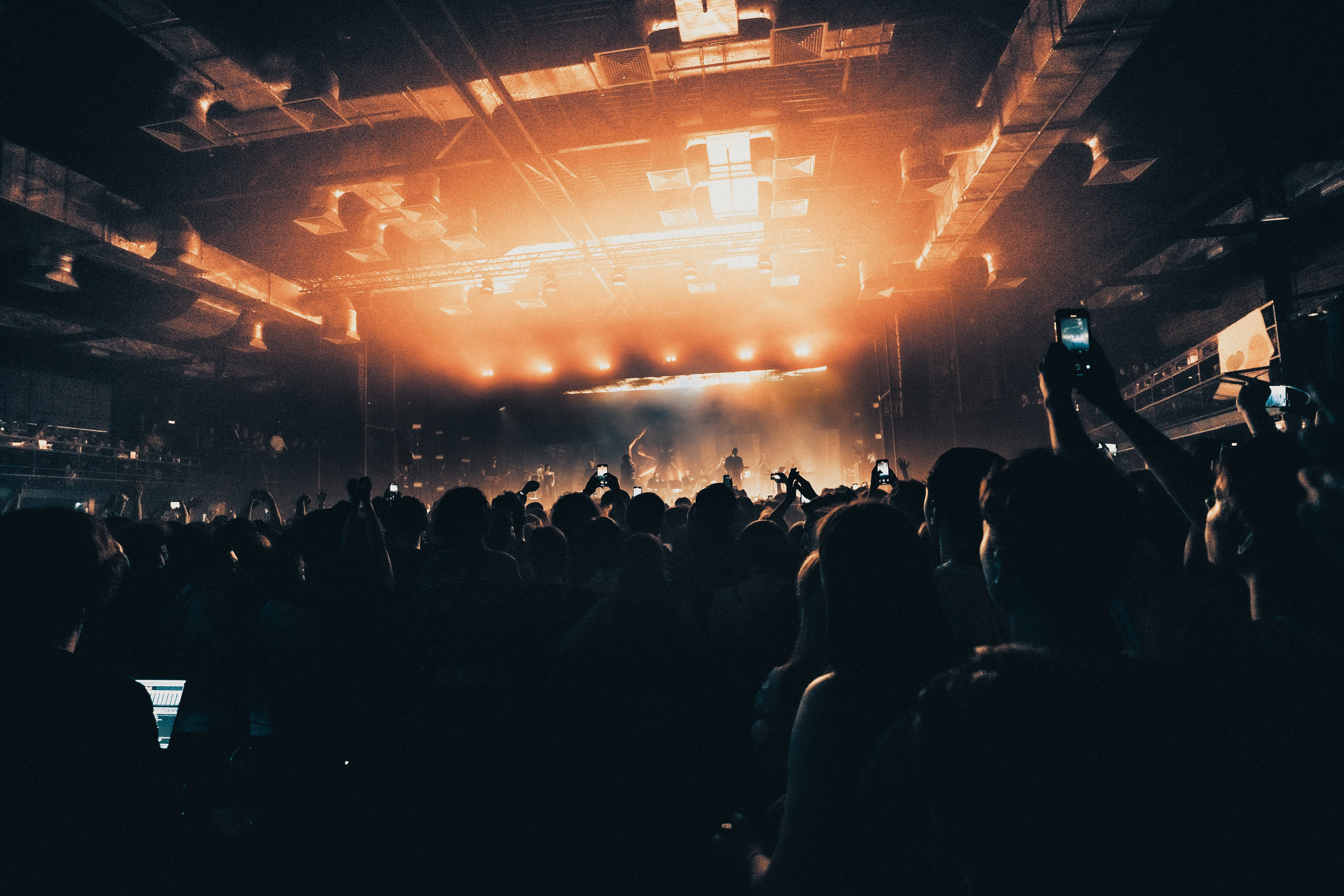 SALUKI. PASHAHARCE PHOTOGRAPHER & VIDEOGRAPHER