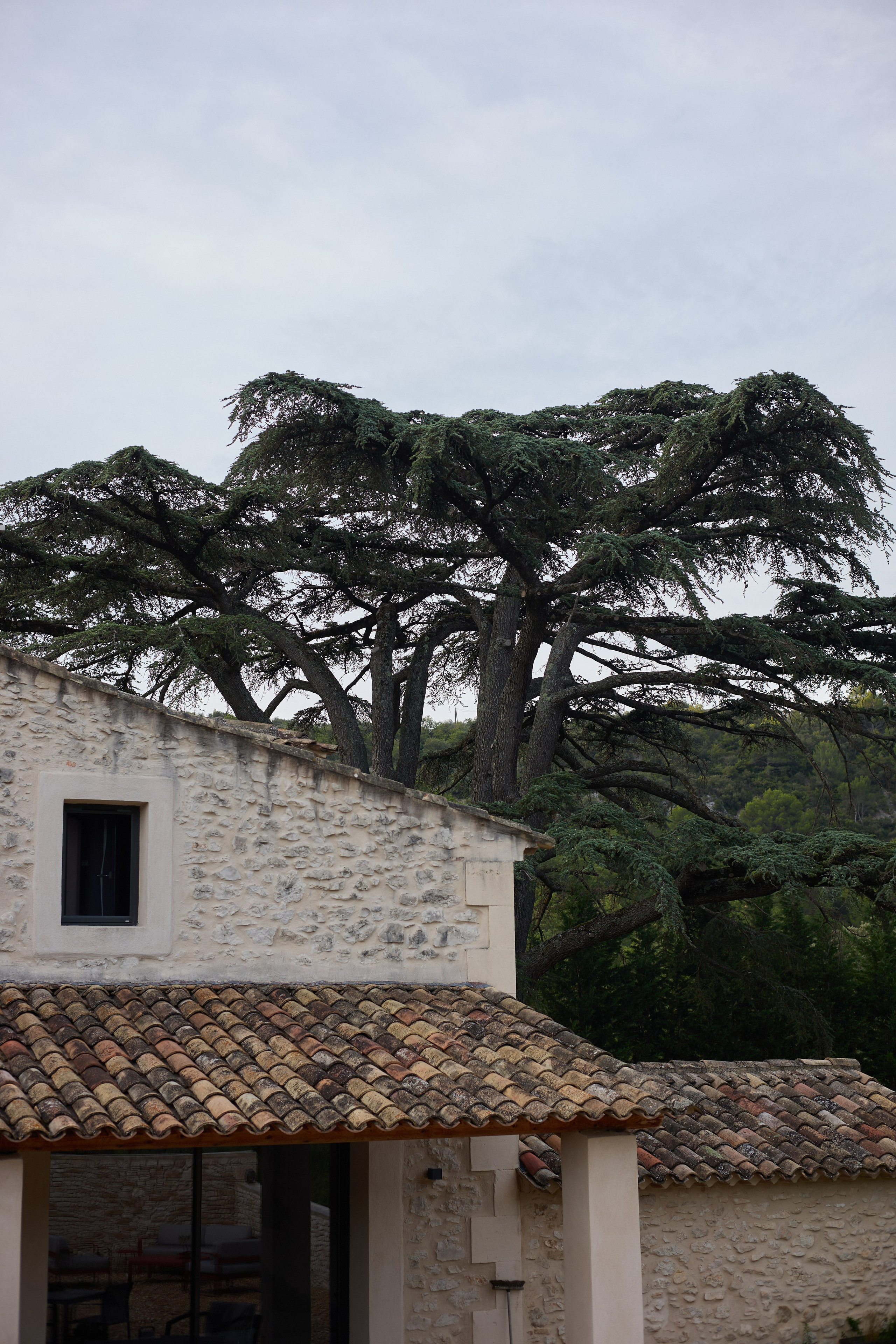 France (Provence & Paris) Sep'25. Анастасия Зобнинá — фотограф в Санкт-Петербурге/СПб