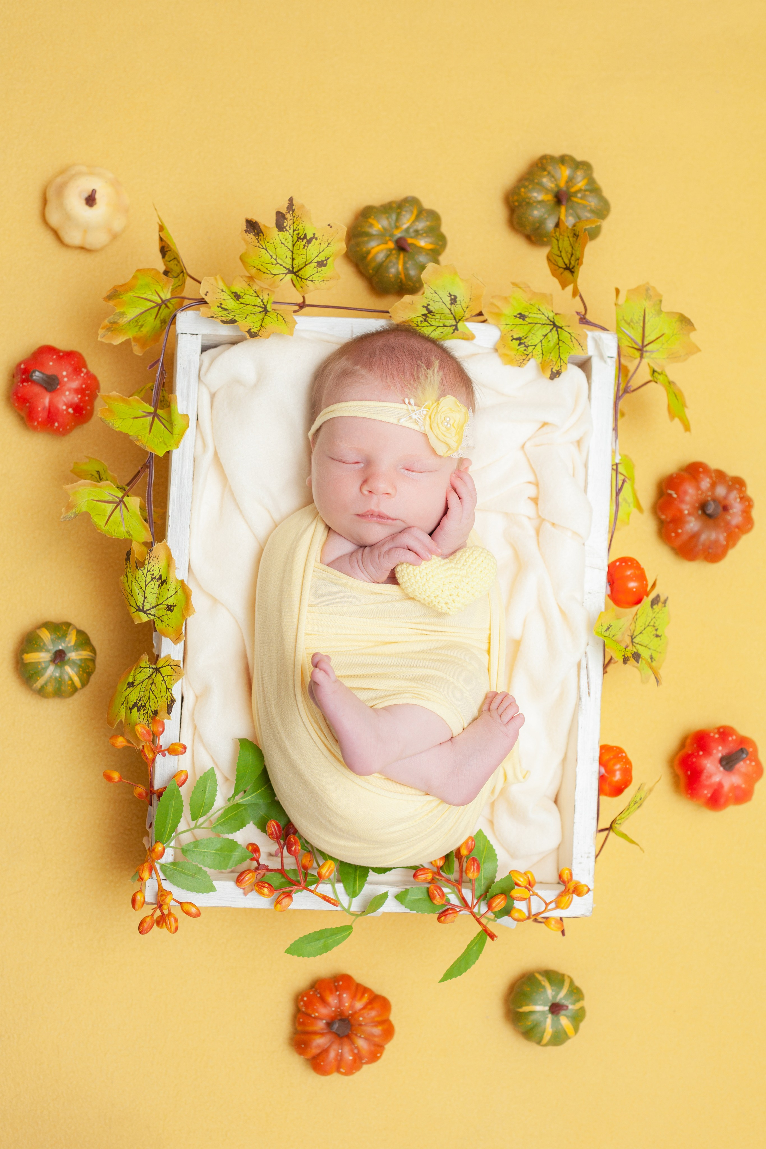 Newborn. Детский фотограф, фотограф-анималист