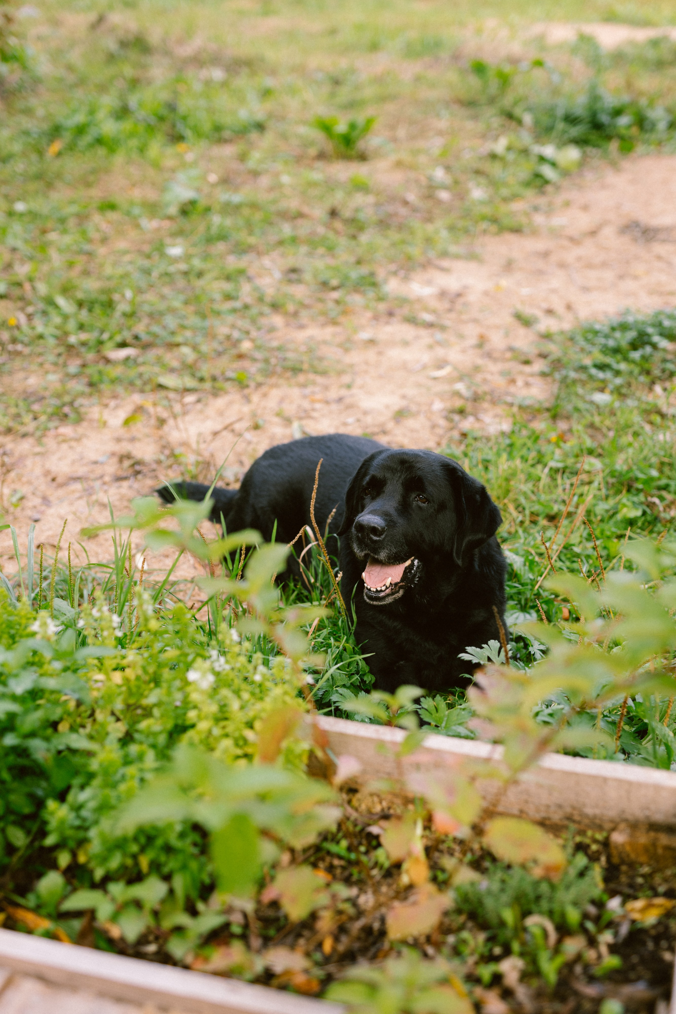 Сказочный ларец. Варвара Синицына: семейный фотограф в Москве