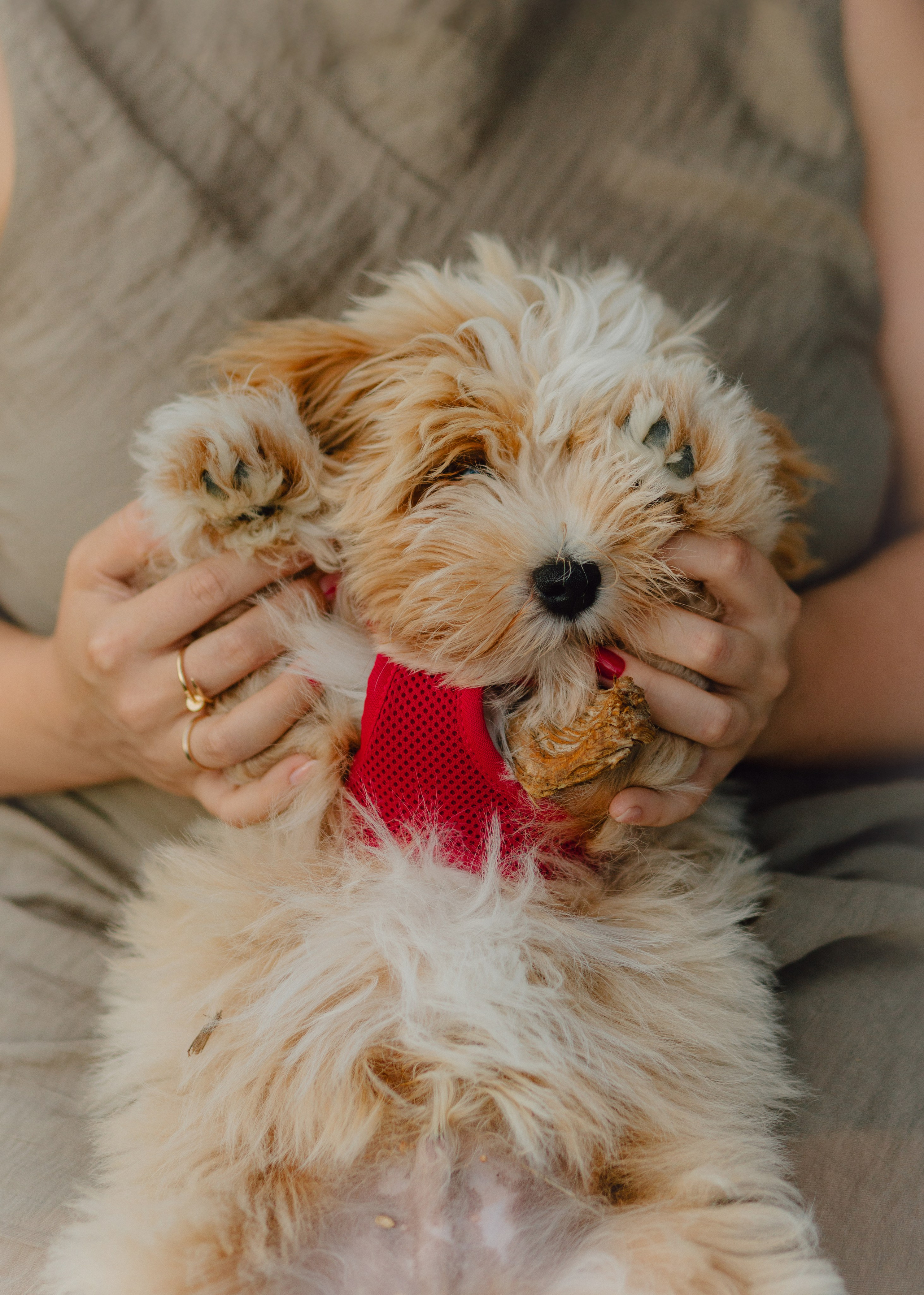 J&J Family. Barbara Isaeva