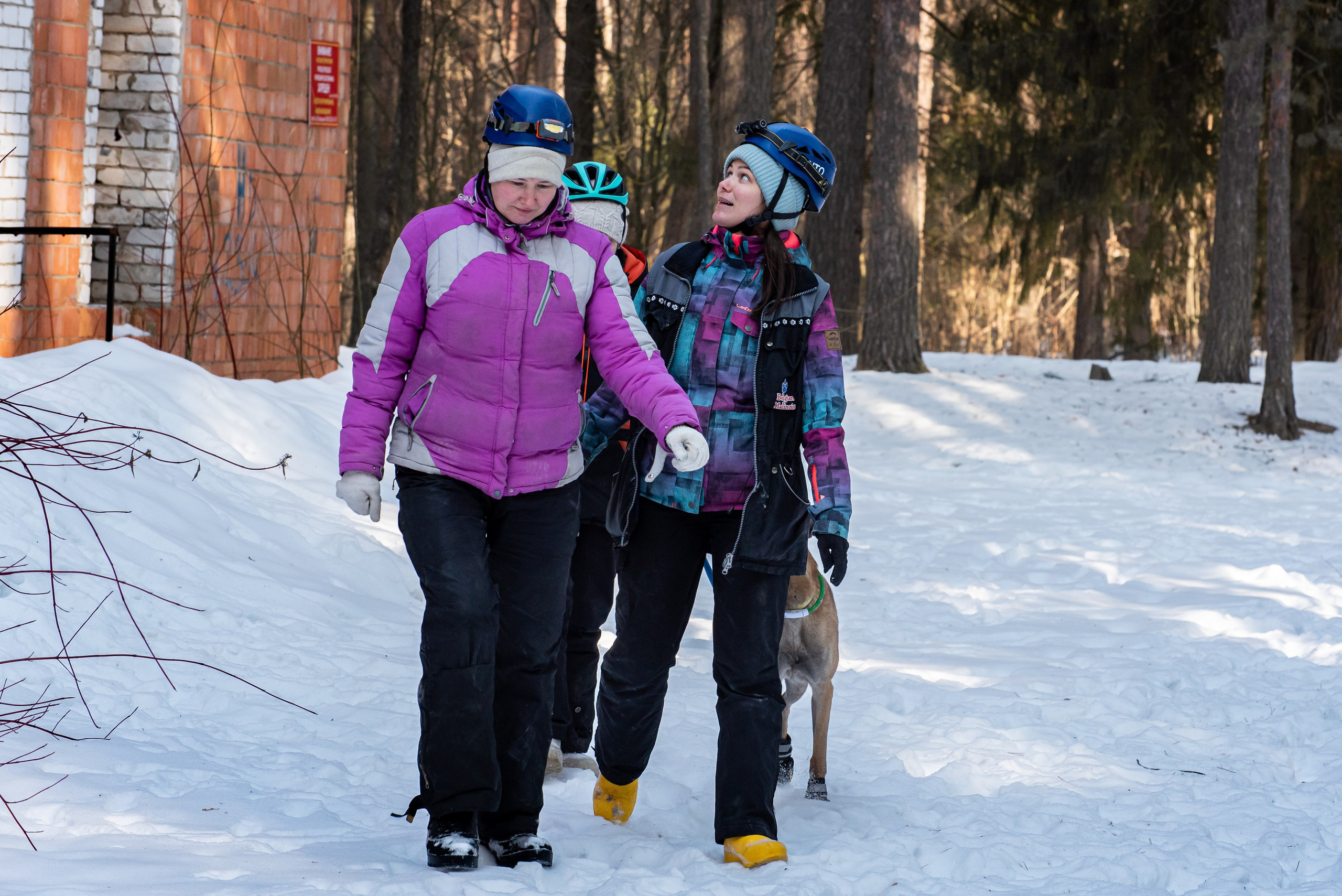 Фотосъёмка с собаками в Кинологическом лагере. Фотограф Макс Огурцов в Нижнем Новгороде