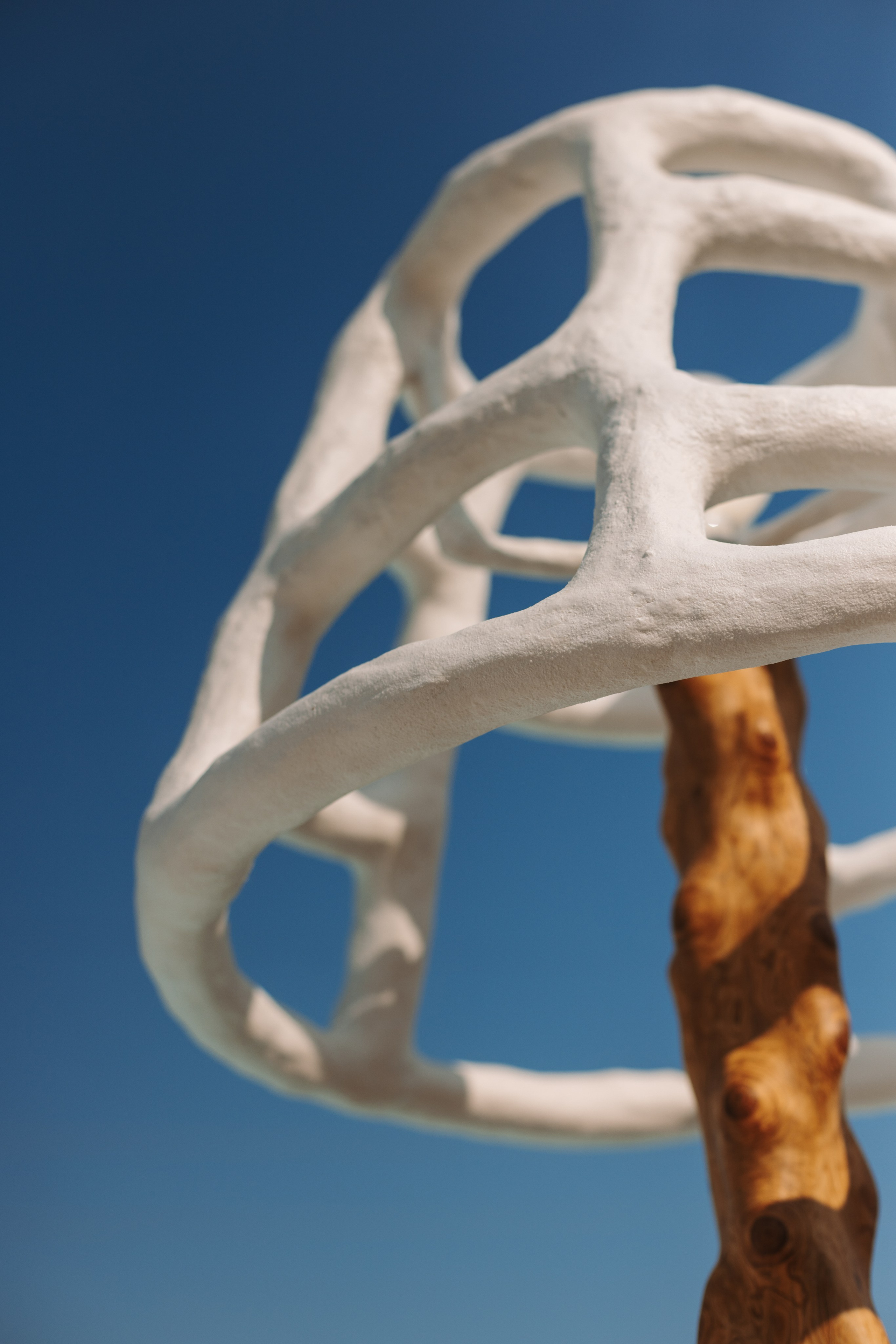 Kseniya Torgashina Designer. Фотограф на Юге России