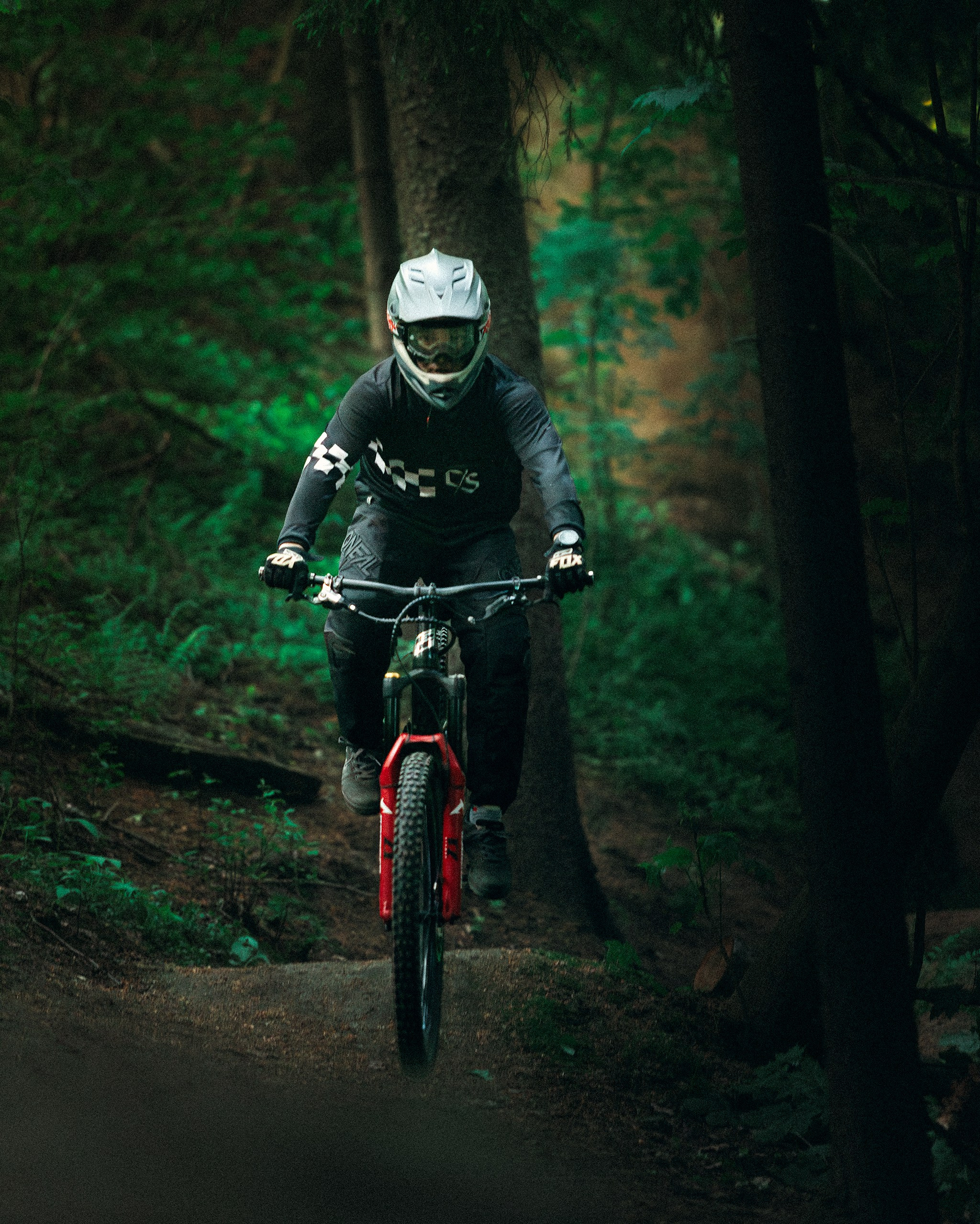 Саша и Ваня. Фотограф анималист Никита Натальный