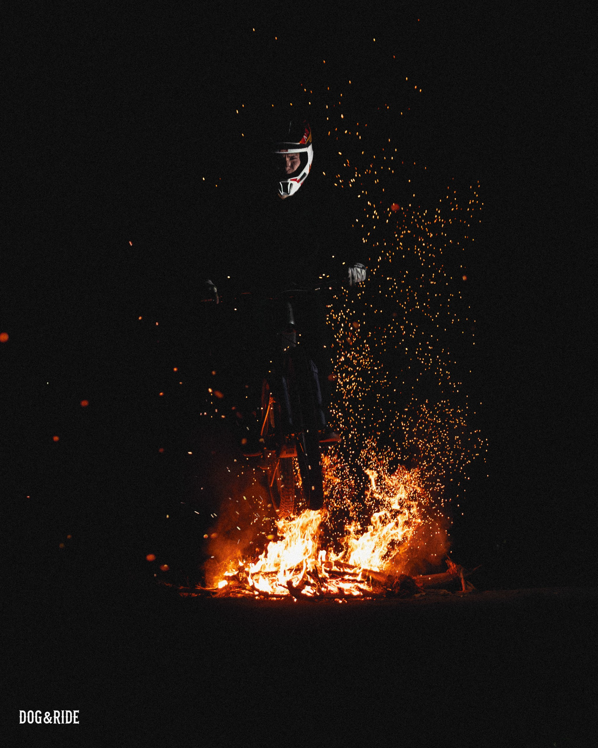 Шабаш. Фотограф анималист Никита Натальный