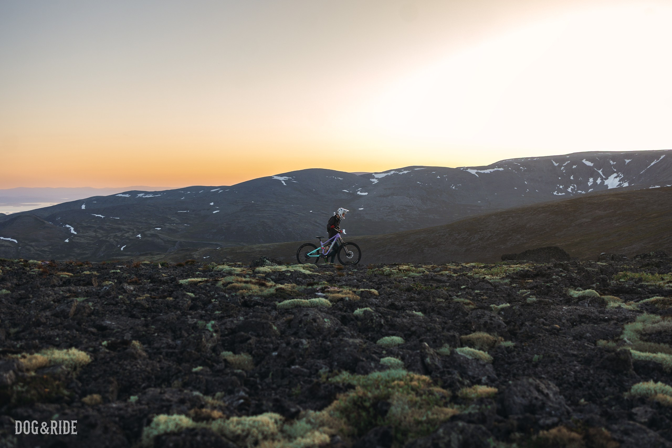 Хибины. Фотограф анималист Никита Натальный