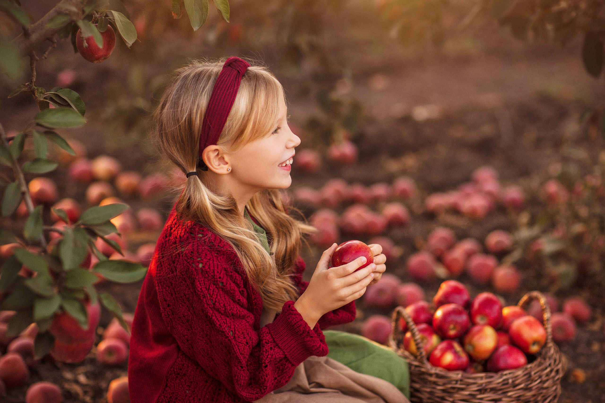 Сбор урожая Яблок. Семейный и детский фотограф в Краснодаре Анна Трашкова