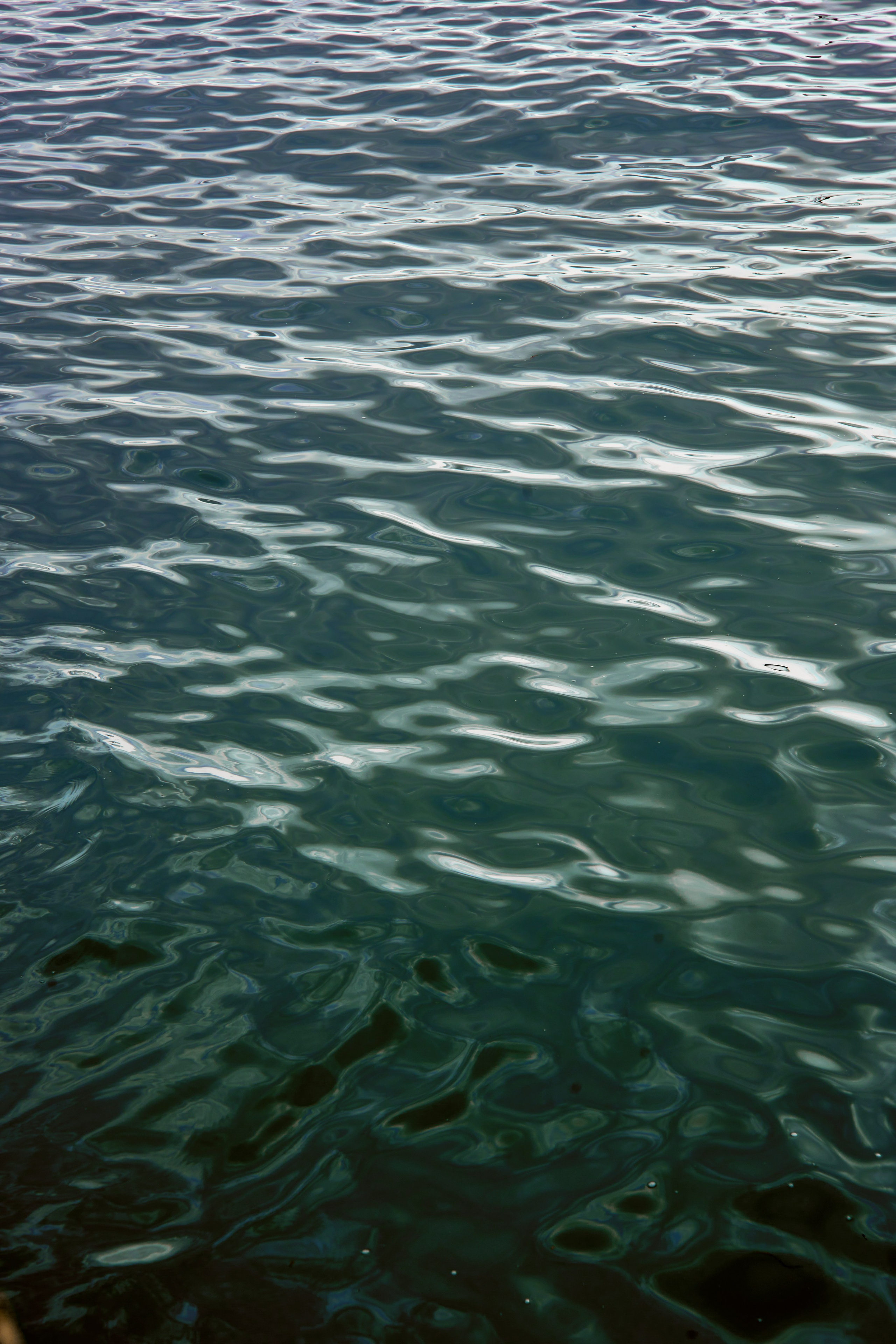 СОЧИ. Студийный фотограф в Екатеринбурге Бшари Заана