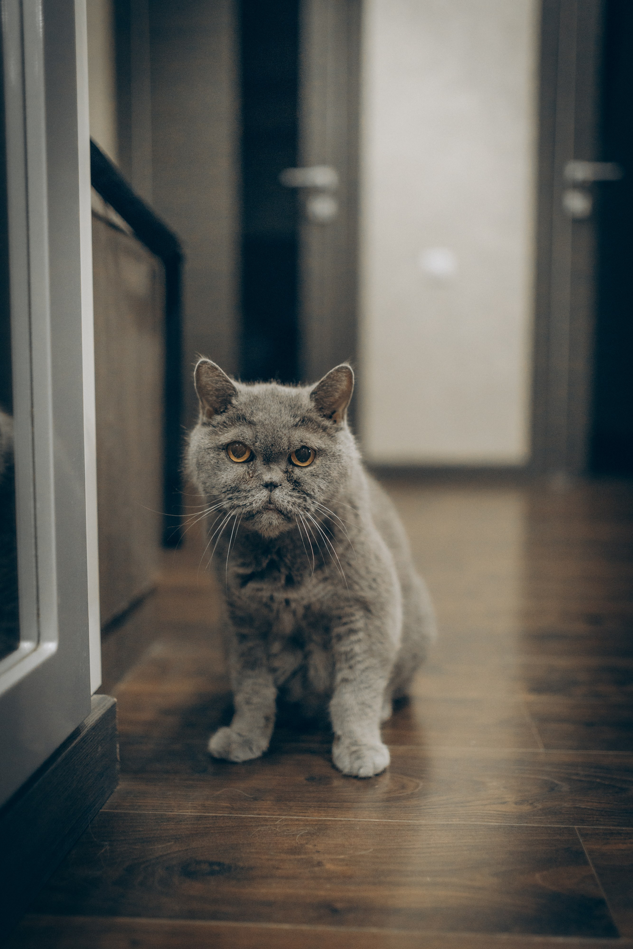 Вика, Вова и Федя. Семейный фотограф и фотограф на роды в Ростове-на-Дону Мухина Виктория