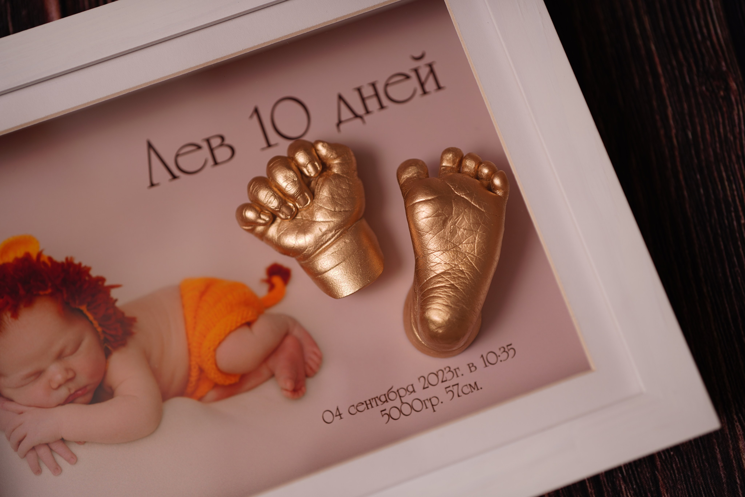 Лев 10 дней. Фотограф новорожденных в Нижнем Новгороде Сергеева Оксана