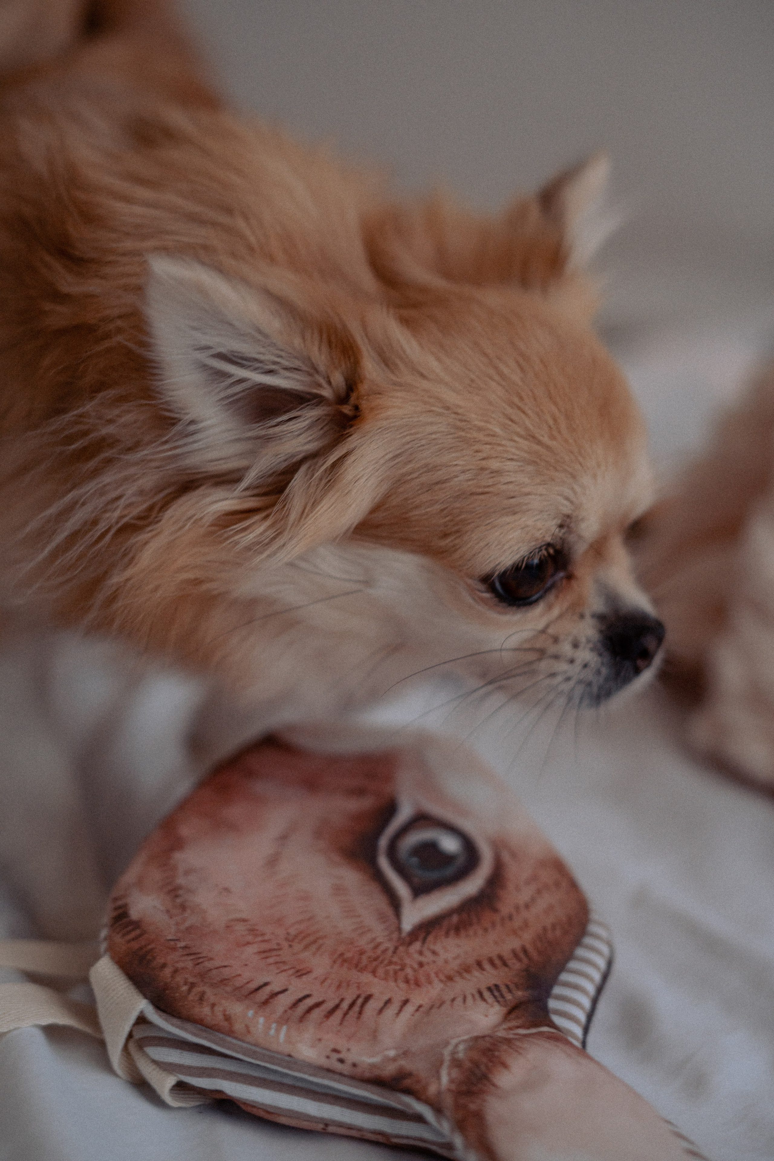 45. Фотограф Батуми | Ксения Кинасова