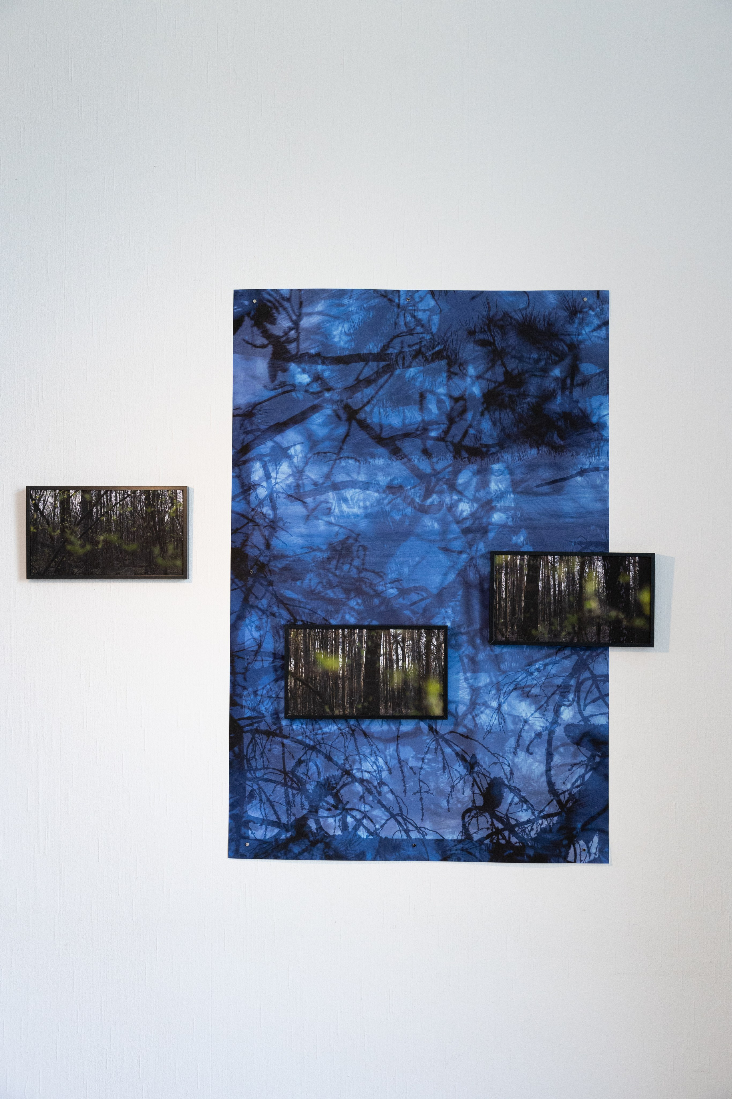 Personal exhibition Interior landscape 2025. Фотограф алина стерхова, алина стерхова фотограф, фотограф москва