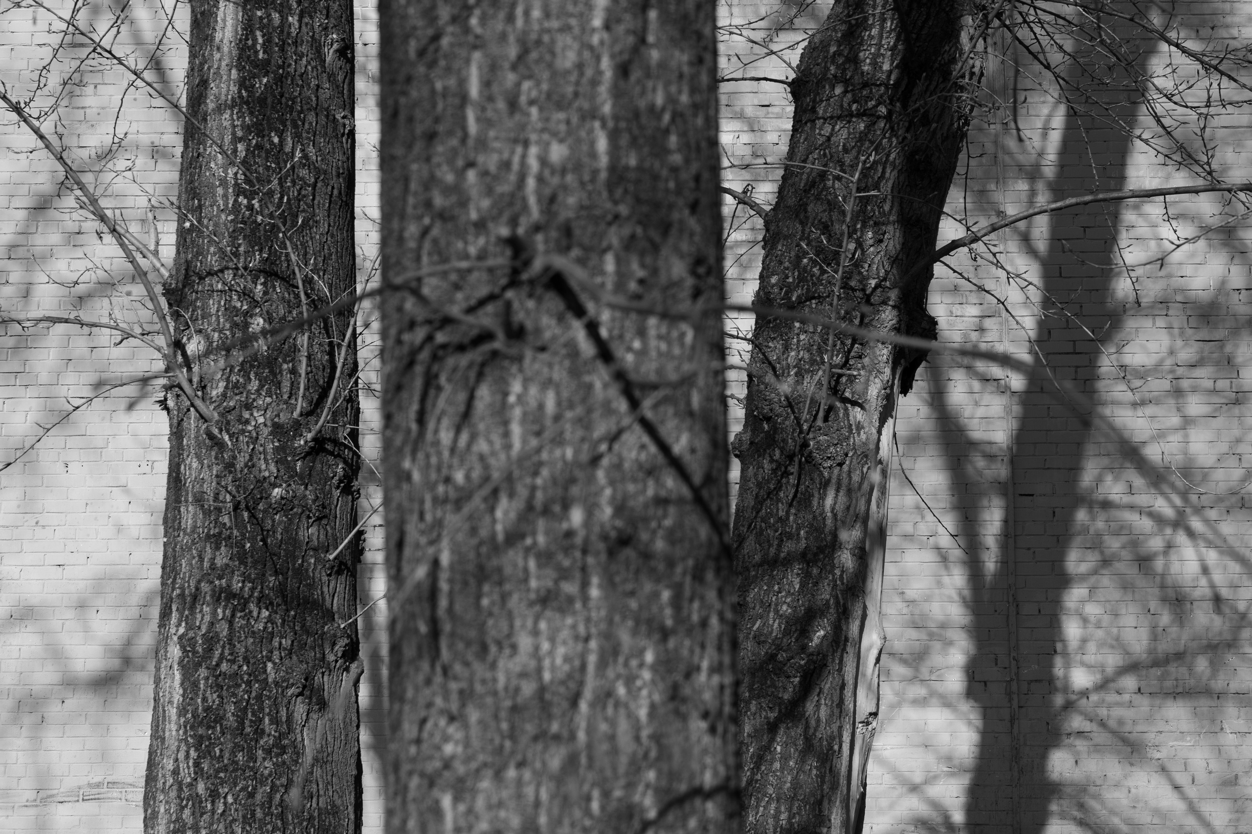 Art prints. Фотограф алина стерхова, алина стерхова фотограф, фотограф москва