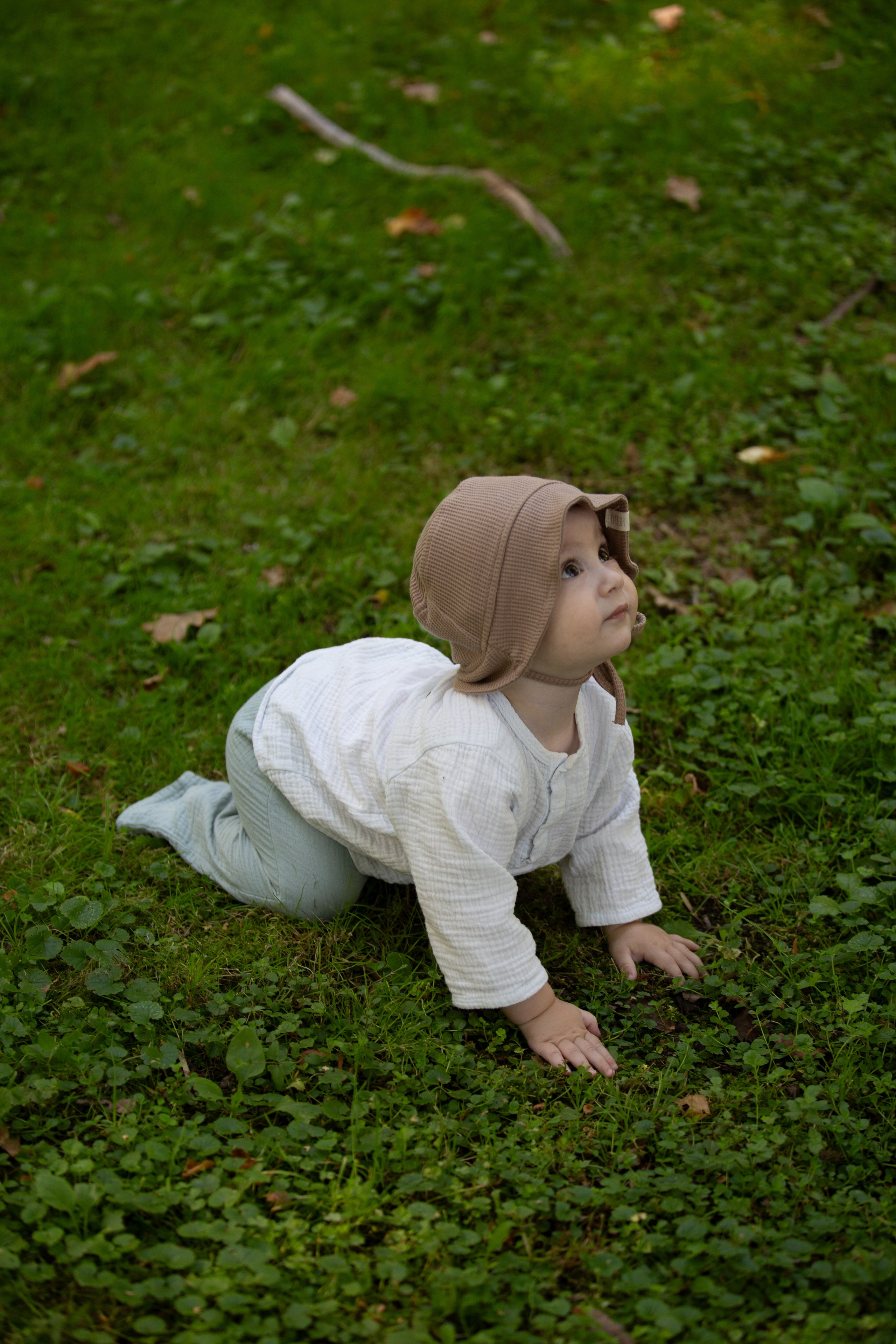 Мерф, Саша, Арсений и Андрей. Фотограф анималист Кристина Карпова, Москва