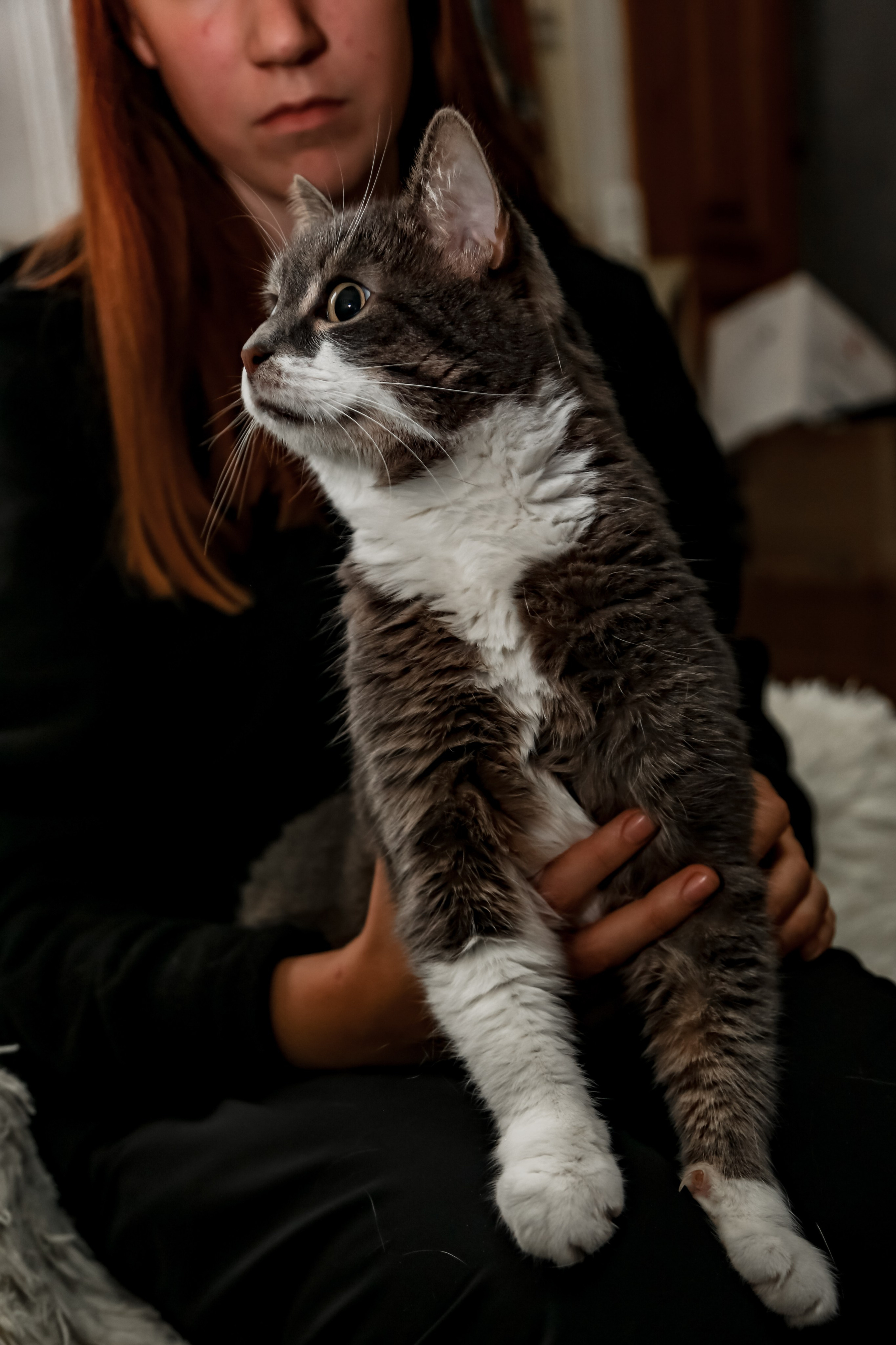 Приют Кошкин Дом Филимоша. Ваш фотограф в Оренбурге Рощупкина Екатерина