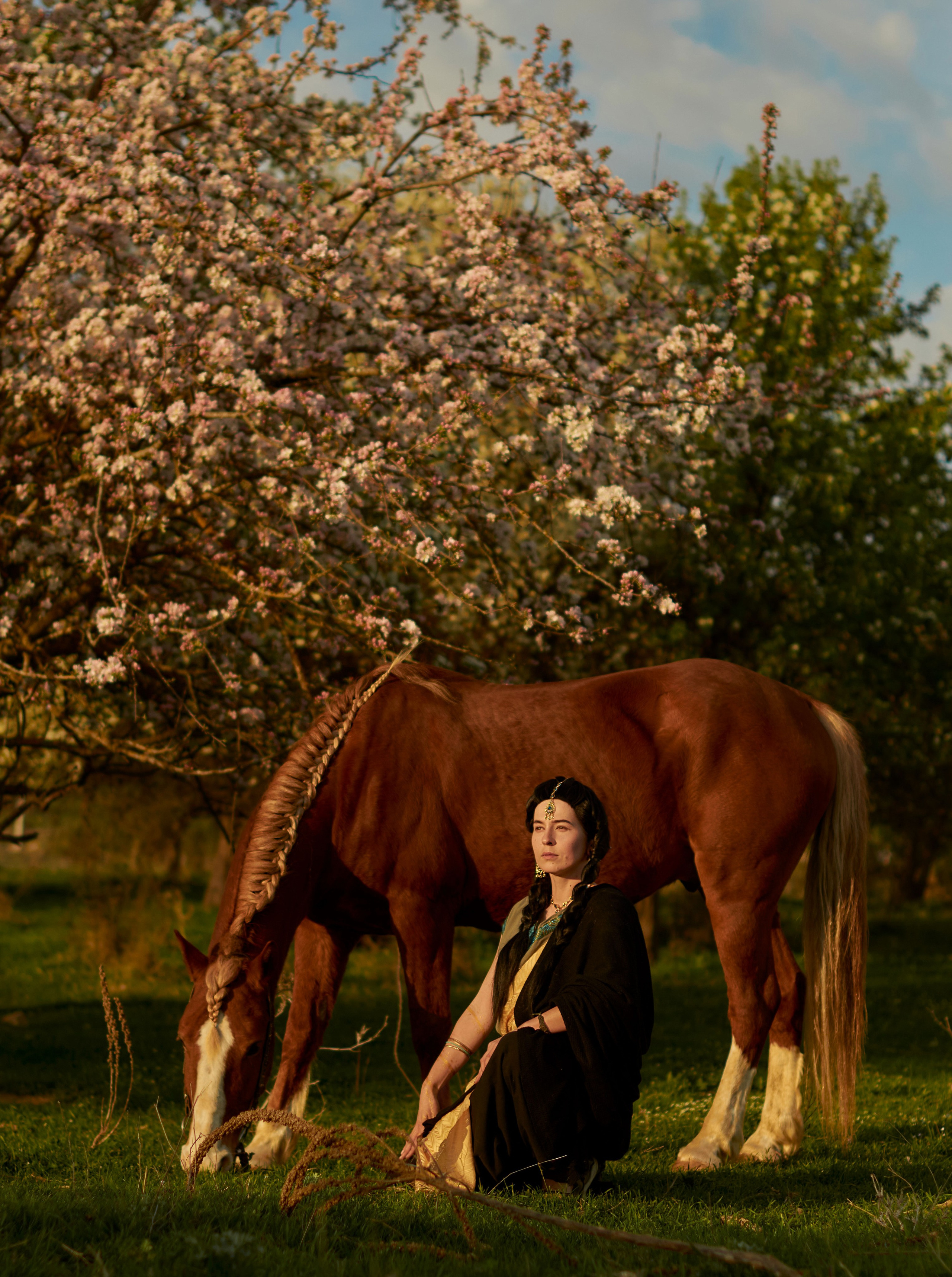 Фотосессия с лошадью. Фотограф в Севастополе