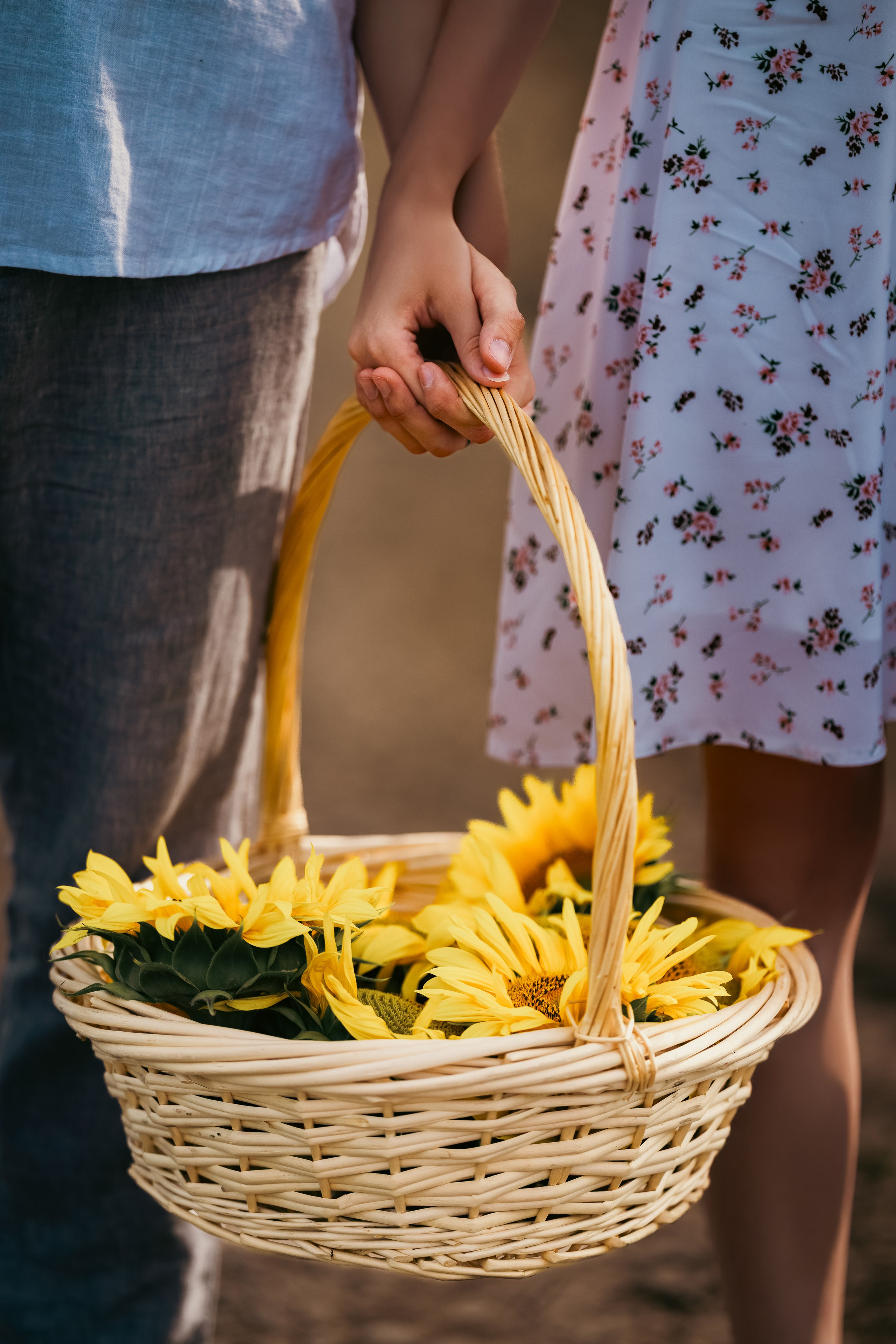 Подсолнухи. Свадебный и семейный фотограф в Рязани Датская Ксения