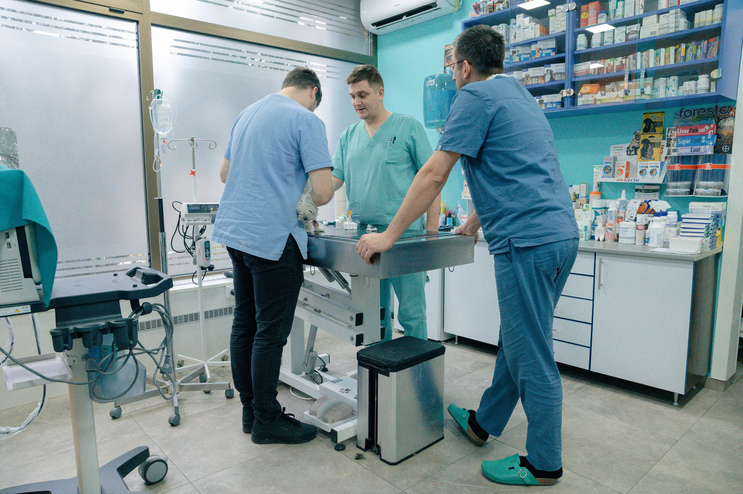 Veterinary clinic «LoyalVet». Art-photographer Ira Wind