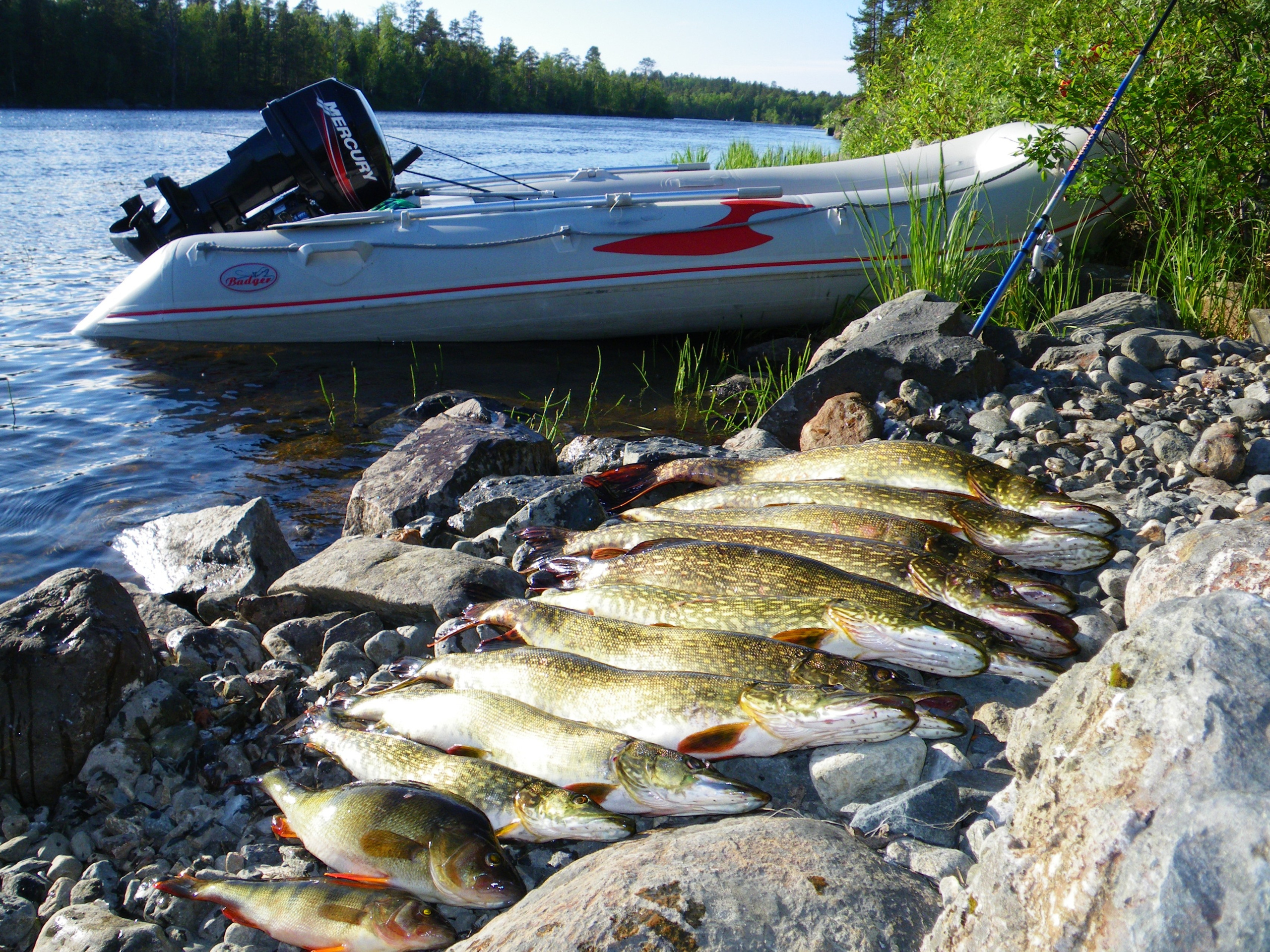 Река Паз. Пейзажи Крайнего Севера. Баренцево море, Рыбачий, Средний, Немецкий