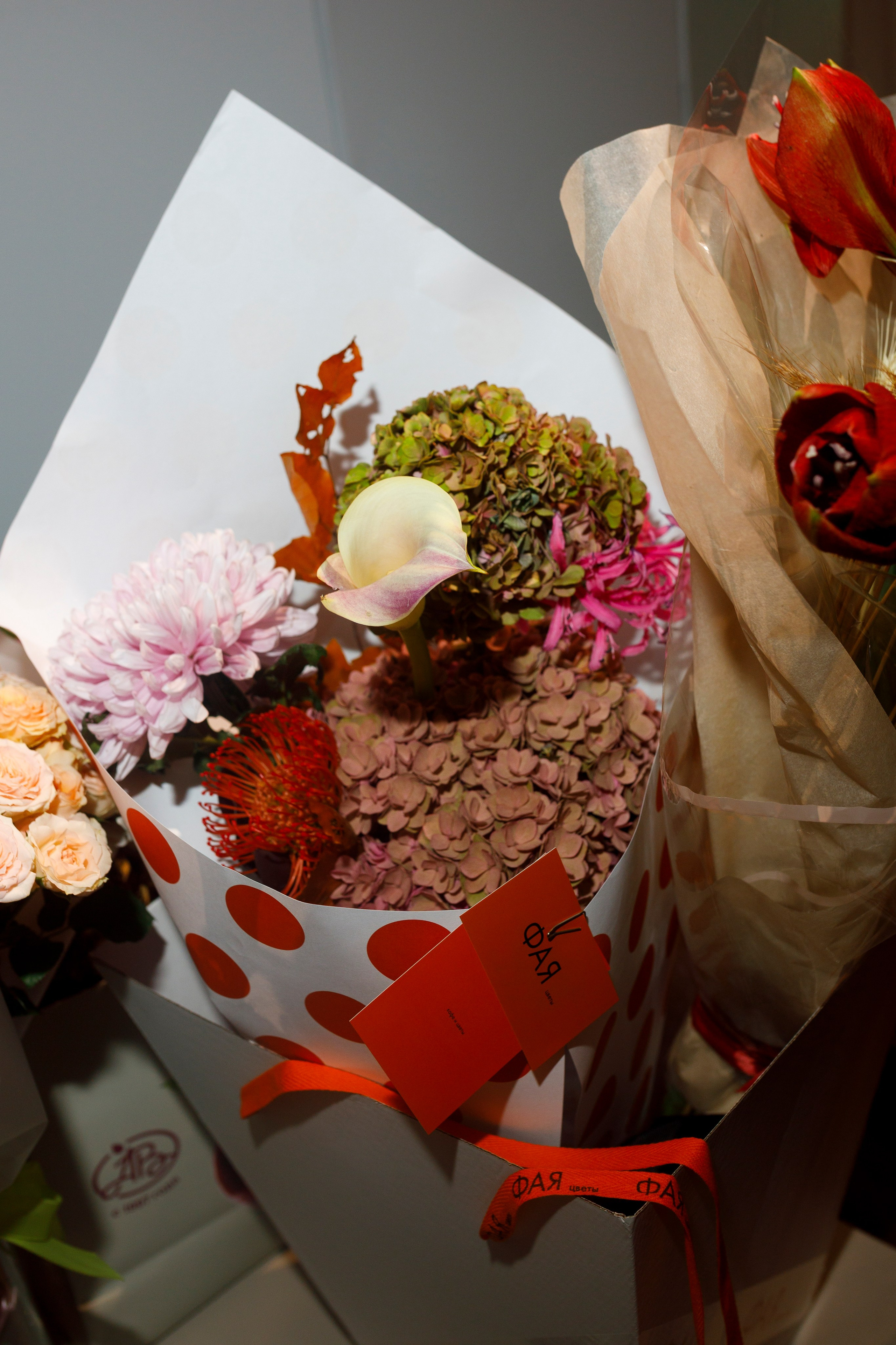 Портфолио репортаж. Репортжаный и свадебный фотограф Москва, Влада Азарова