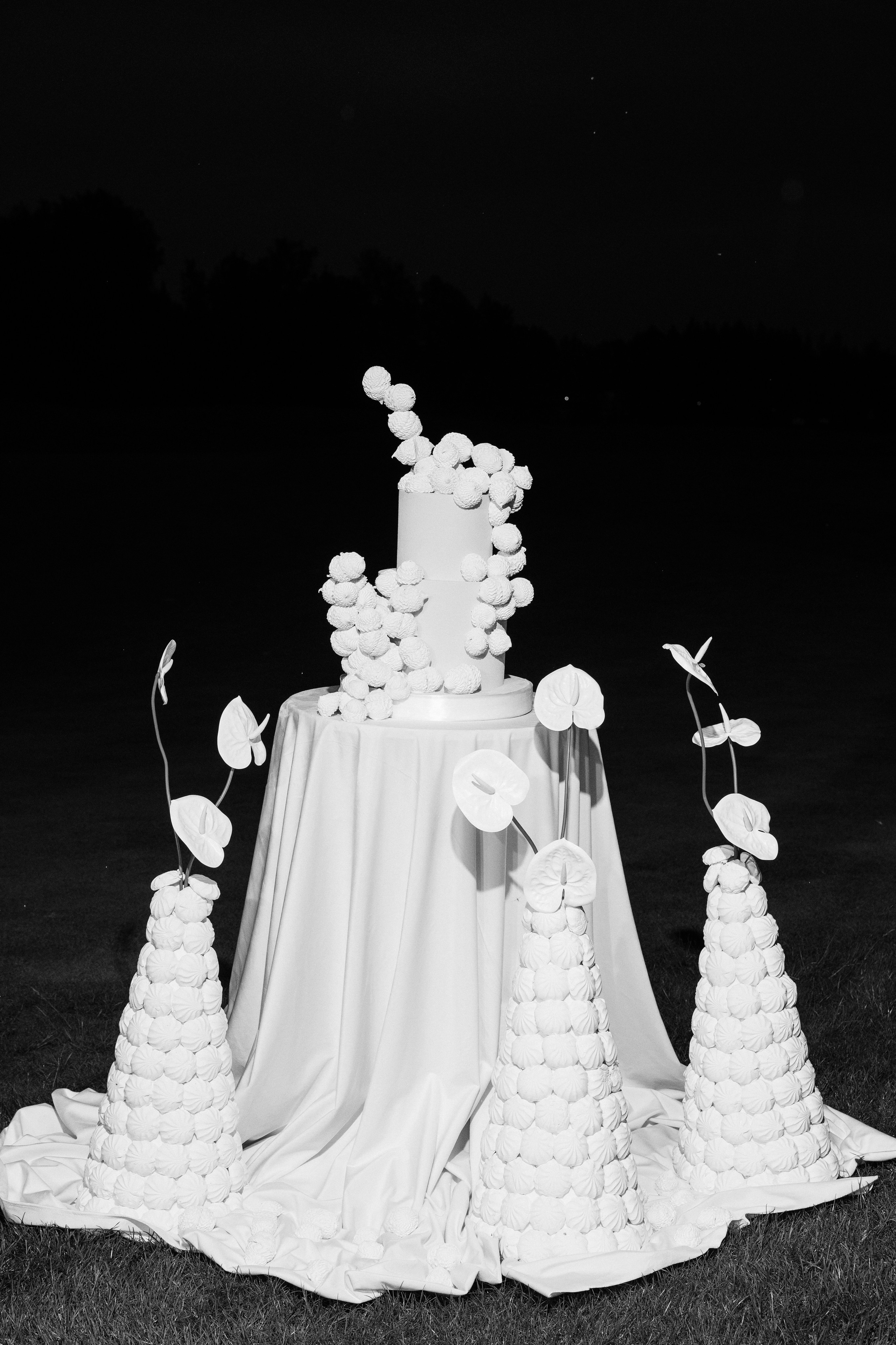 Wedding E&D. Wedding photographer in Moscow and around the world Andrey Medvednikov