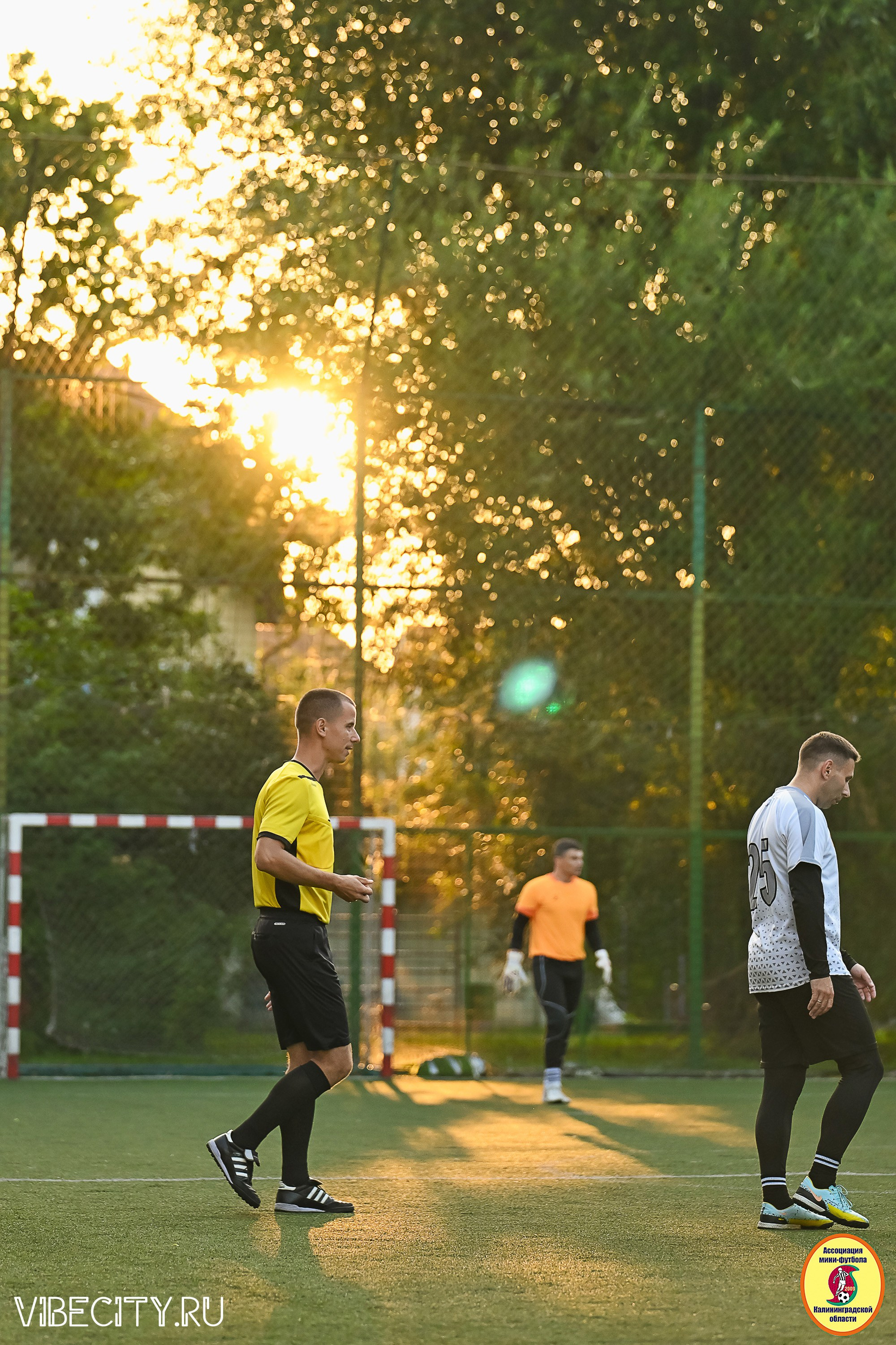 ИГРЫ ПЛЕЙ-ОФФ ПЕРВОГО ДИВИЗИОНА МИНИ-ФУТБОЛЬНОЙ ЛИГИ. VIBECITY.RU Вайб Сити Ру Фоторепортажи Фотоотчеты Калининград