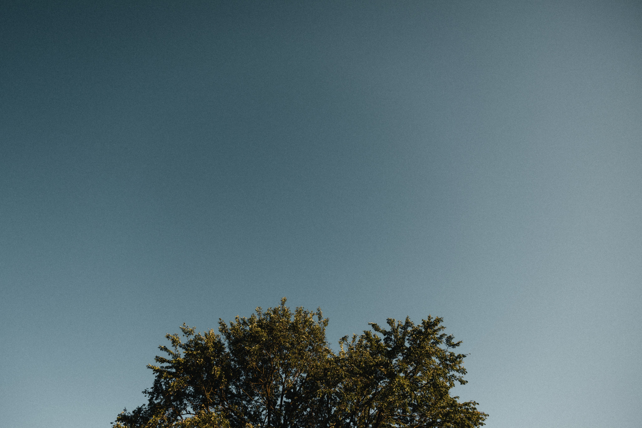 Шепот трав. Свадебный и семейный фотограф и видеограф, Крым, Москва, Санкт -Петербург