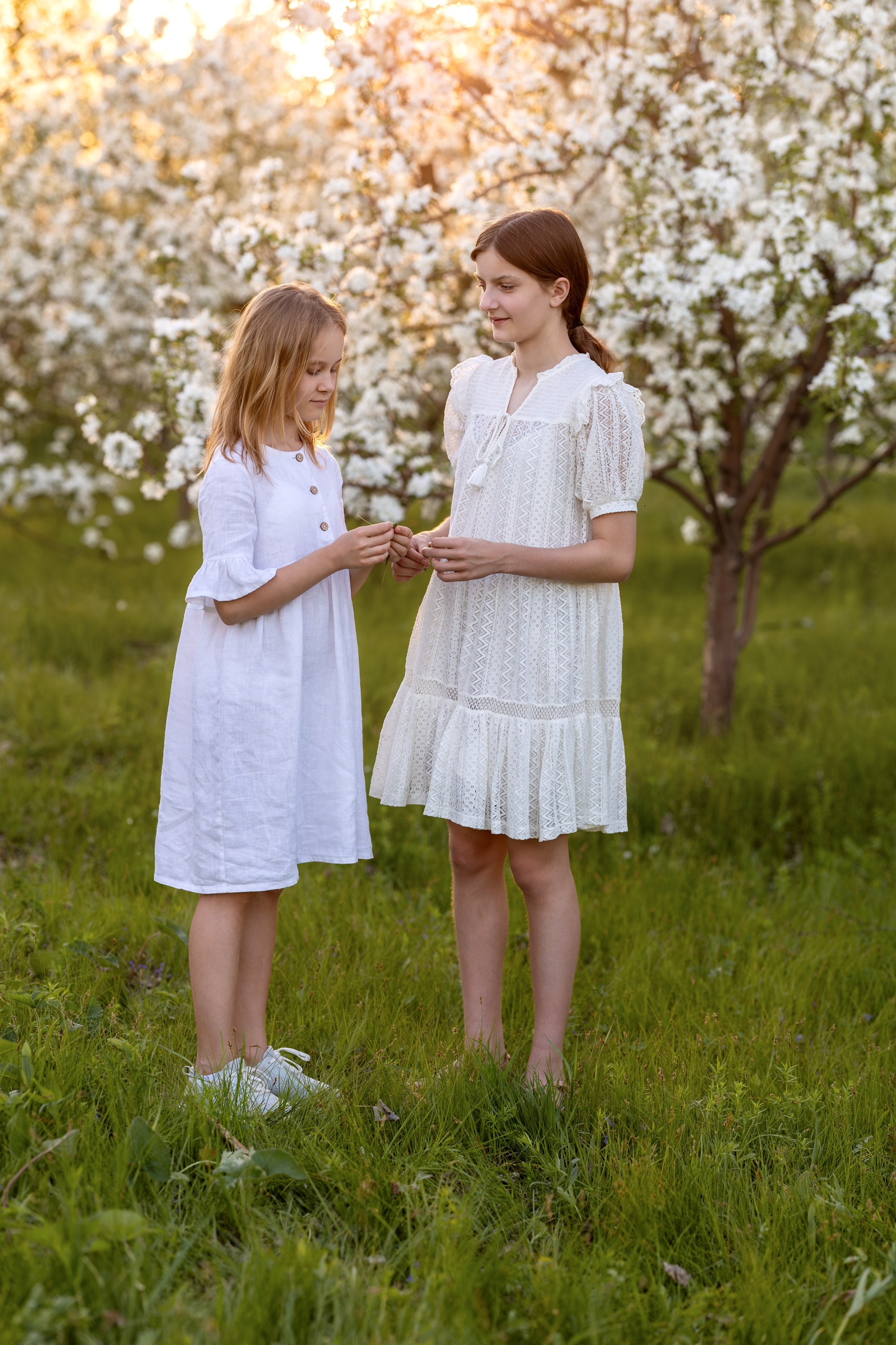 Яблоневый сад. Семейный и детский фотограф в Красноярске, Дивногорцева Светлана